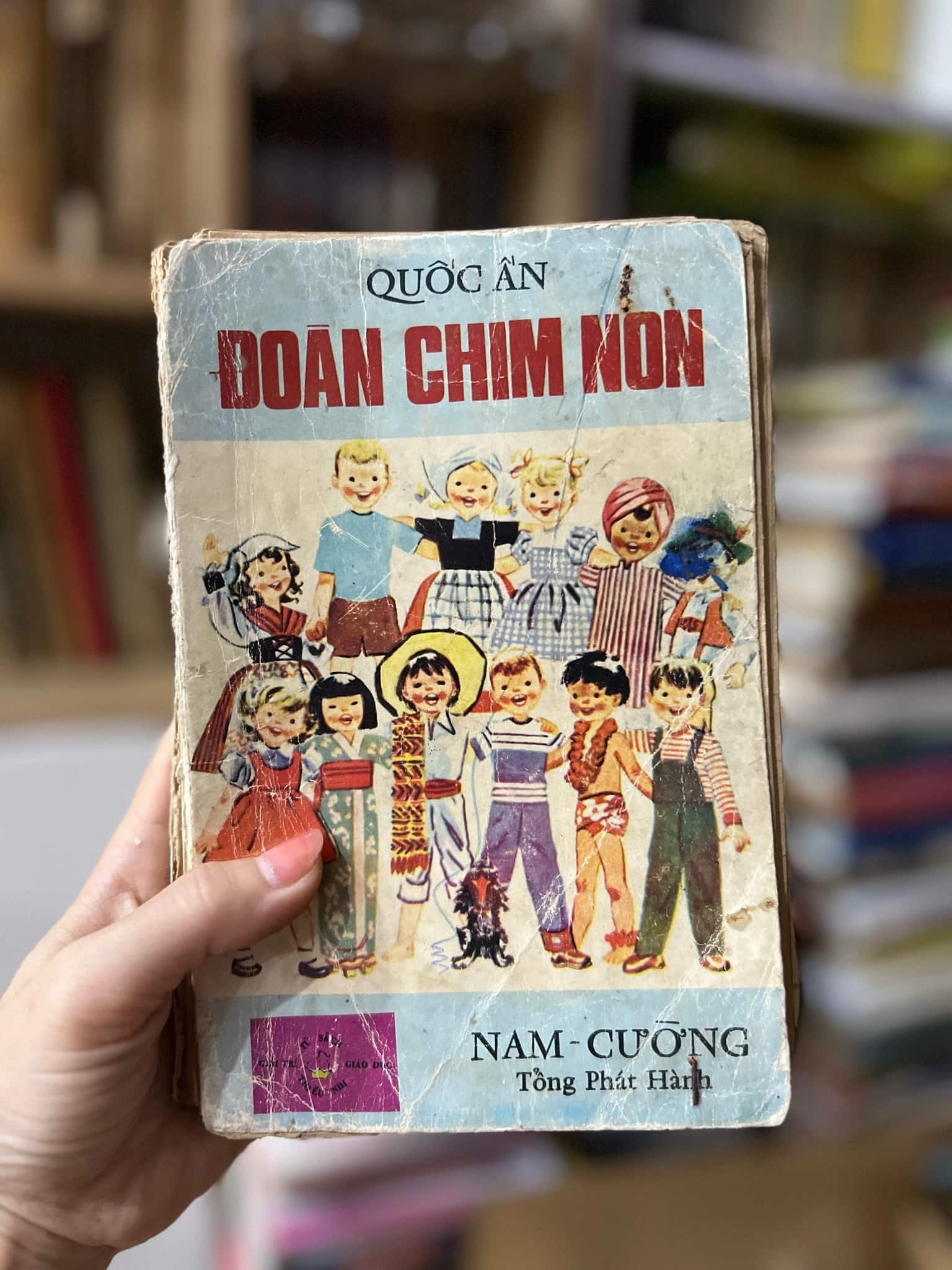 QUỐC ẤN - Đoàn Chim Non