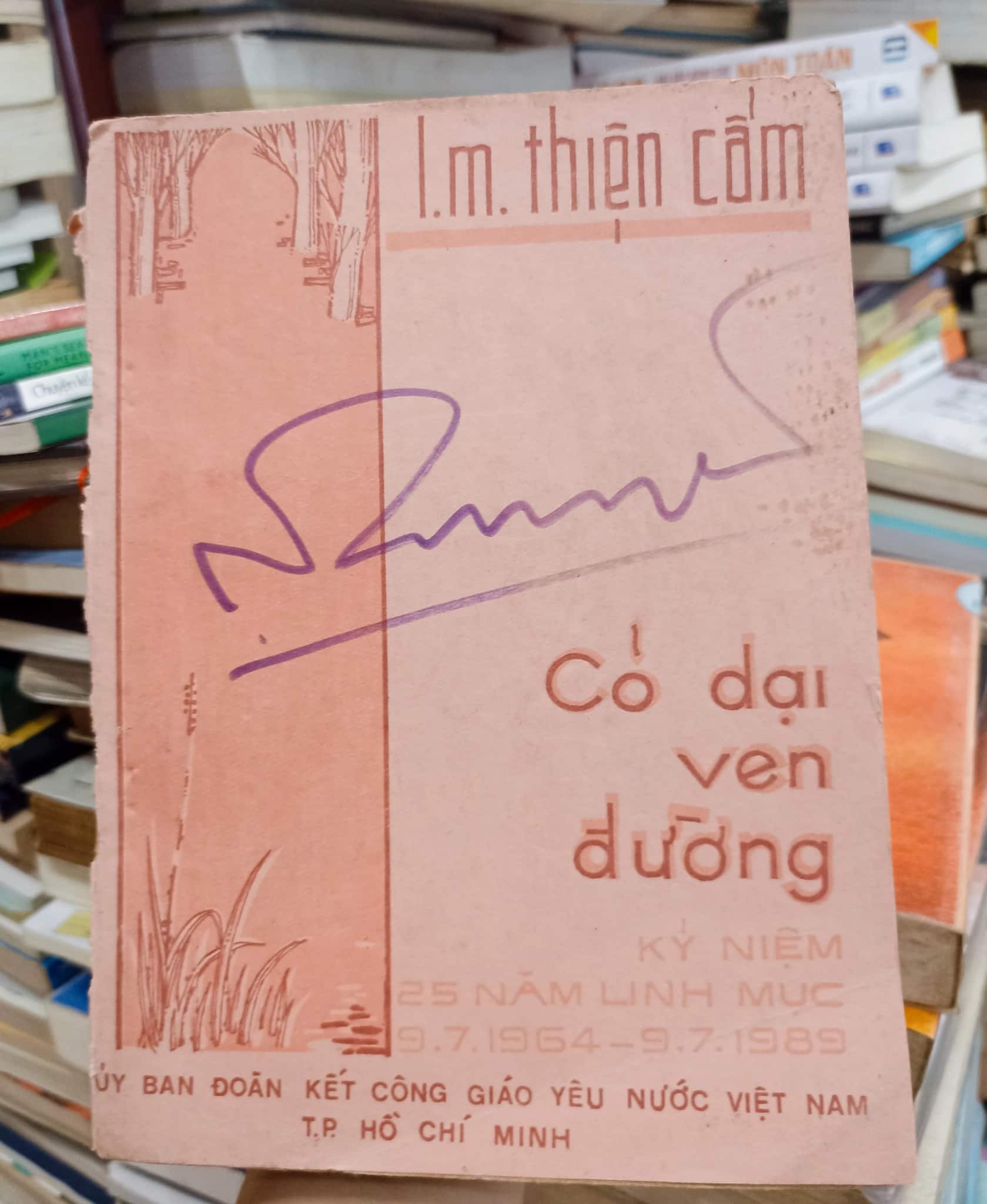 Cỏ Dại Ven Đường