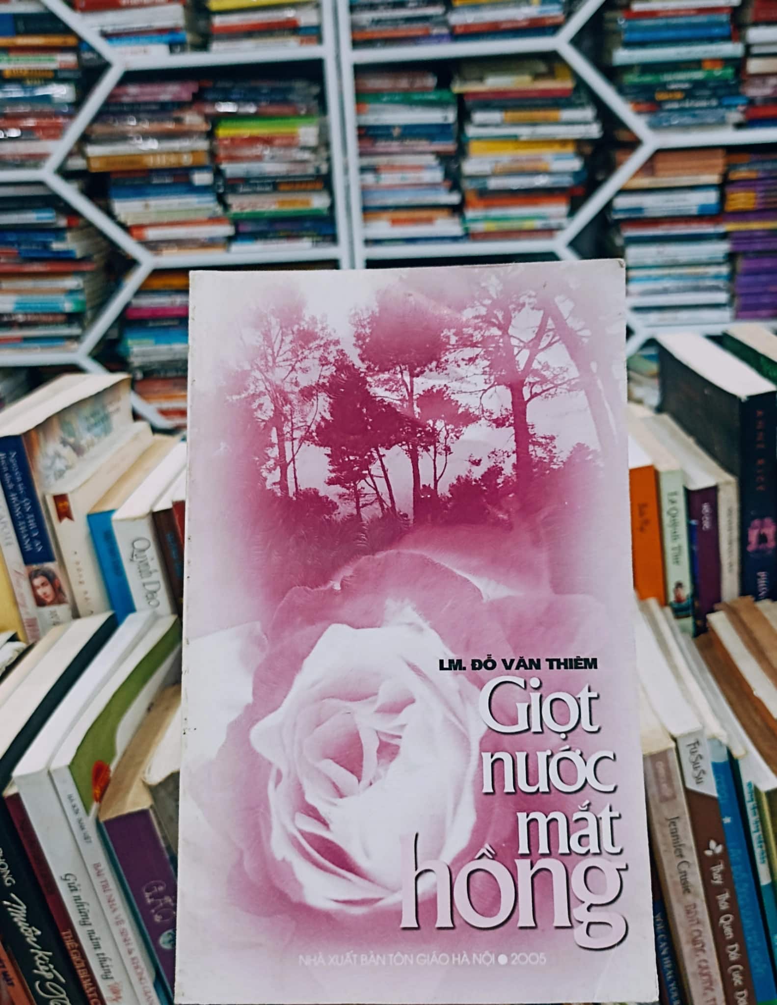 Giọt Nước Mắt Hồng 