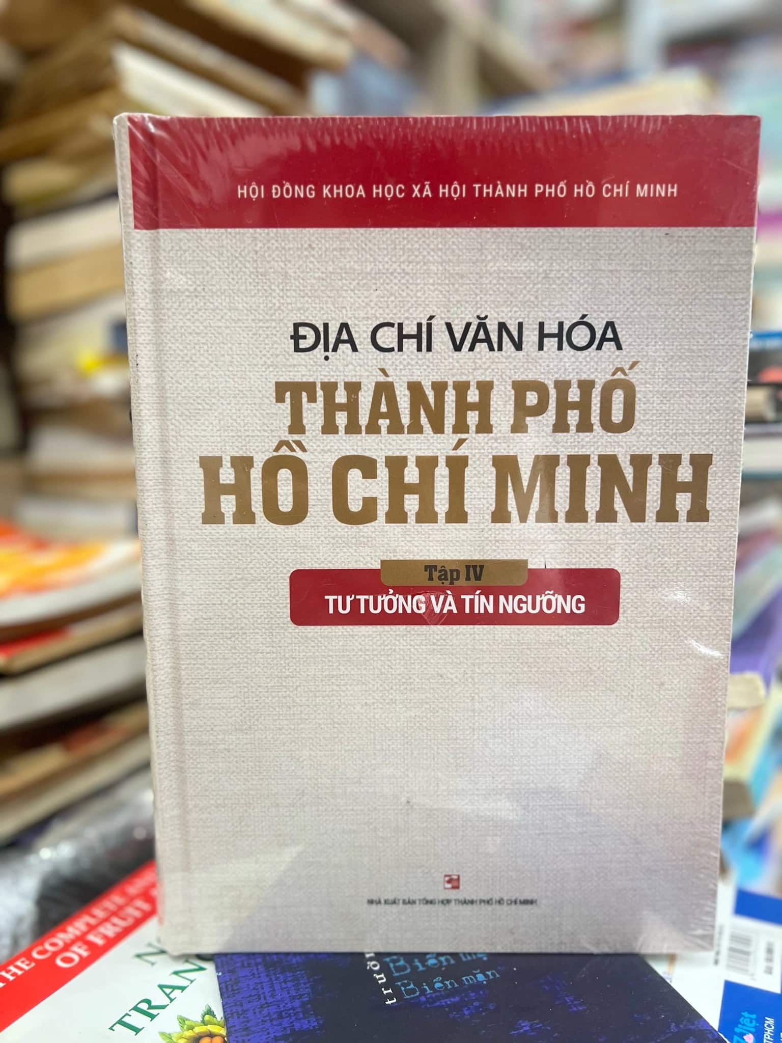 Địa chí văn hoá Thành phố Hồ Chí Minh , Tư tưởng và tín ngưỡng