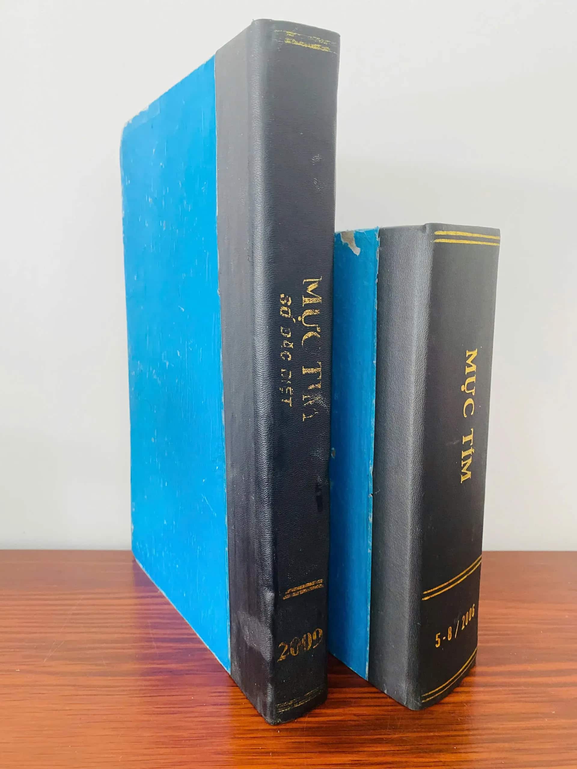 Mực Tím 2009, 2006