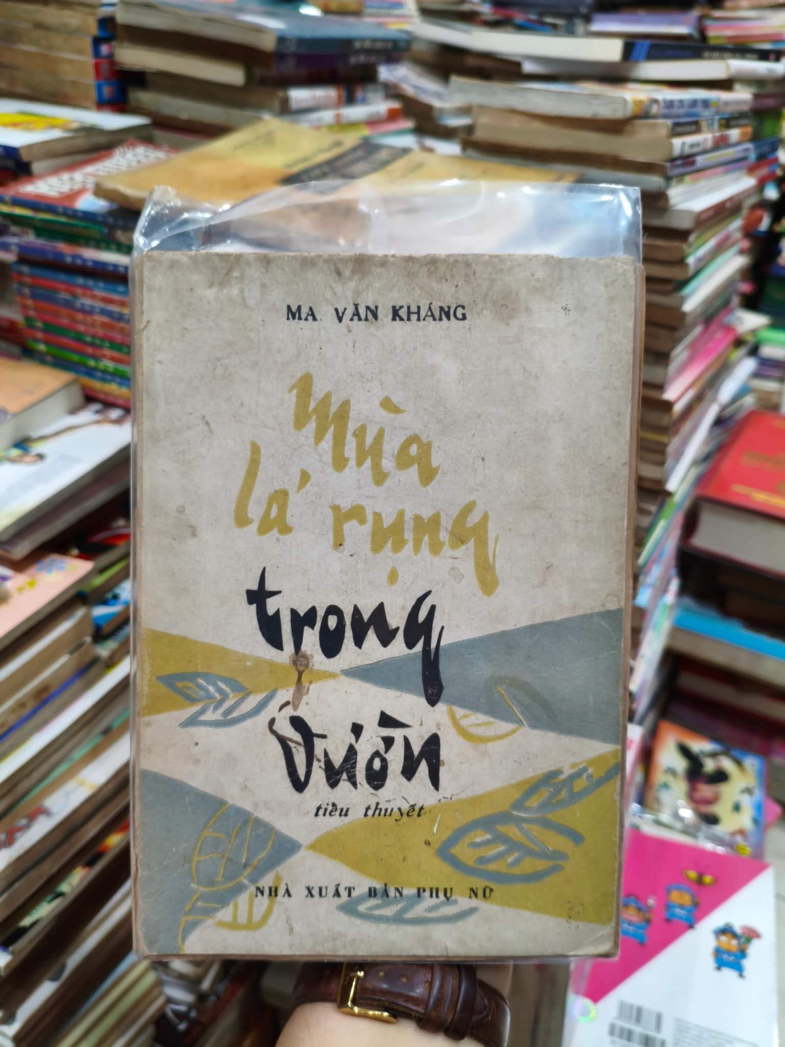 Mùa lá rụng trong vườn 