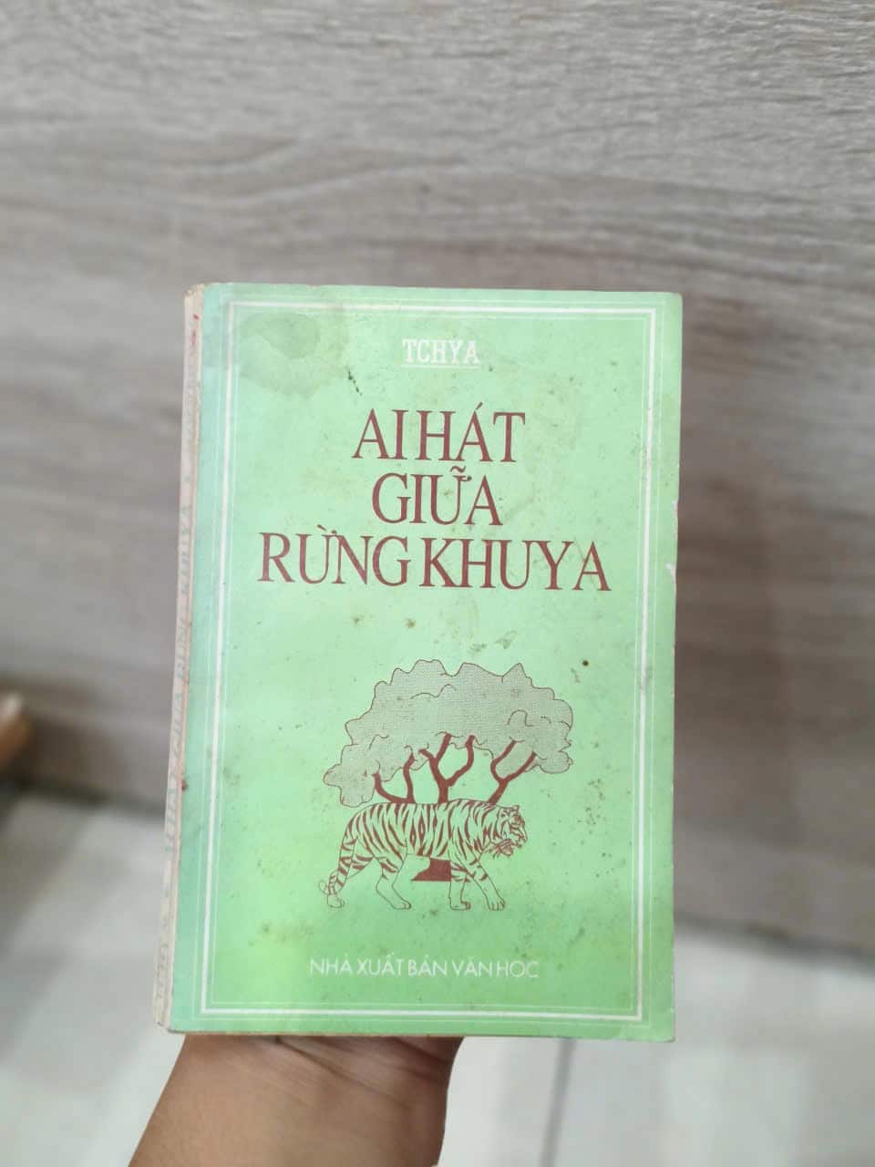 Ai Hát Giữa Rừng Khuya