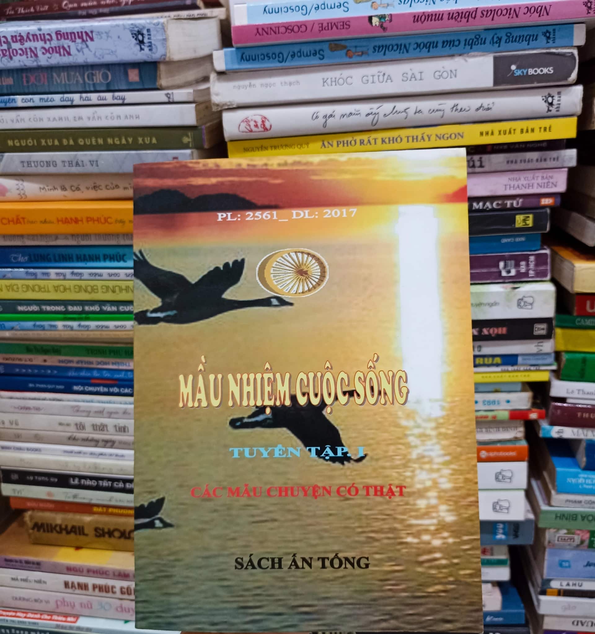 Màu nhiệm cuộc sống - Tập 1