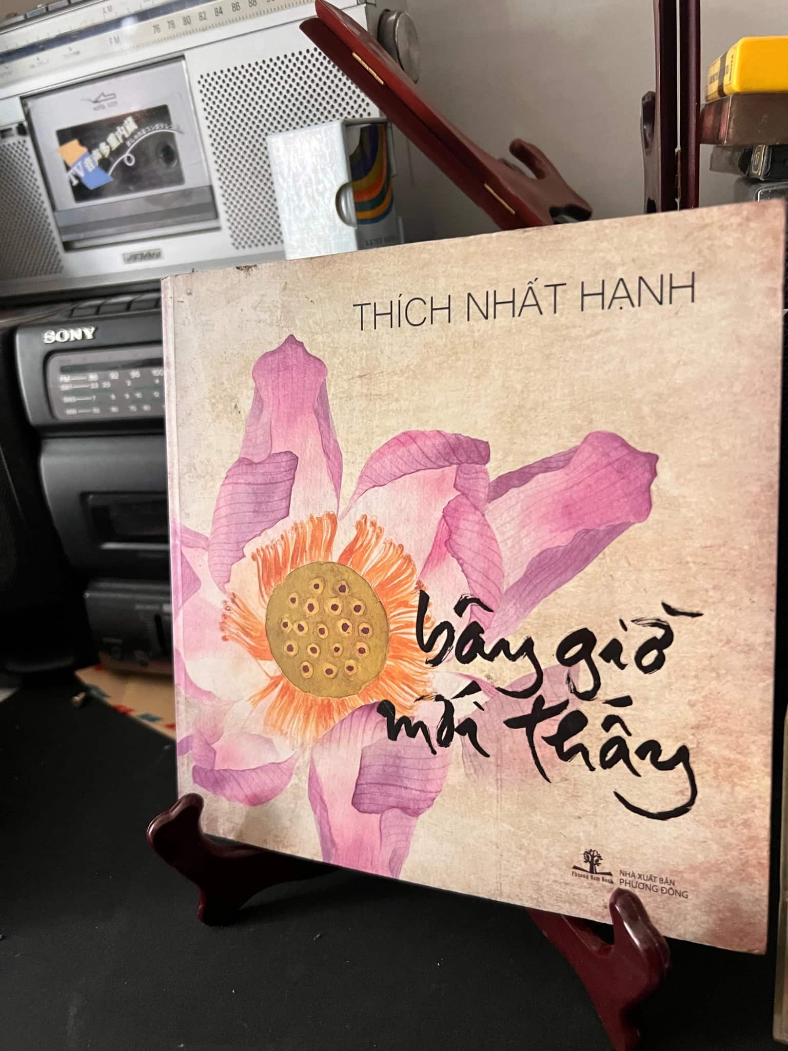 Bây giờ mới thấy