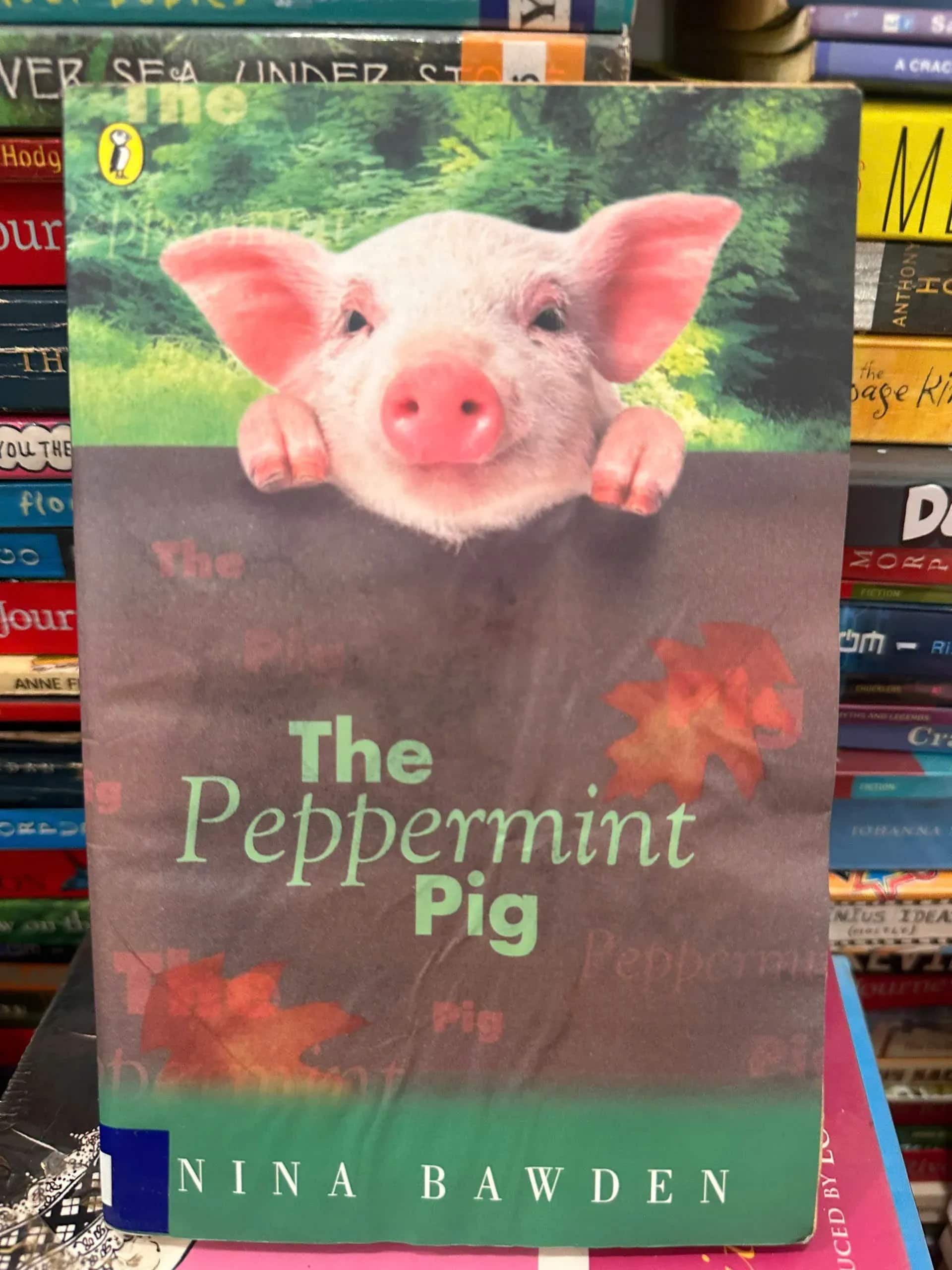 The Peppermint Pig by Nina Bawden