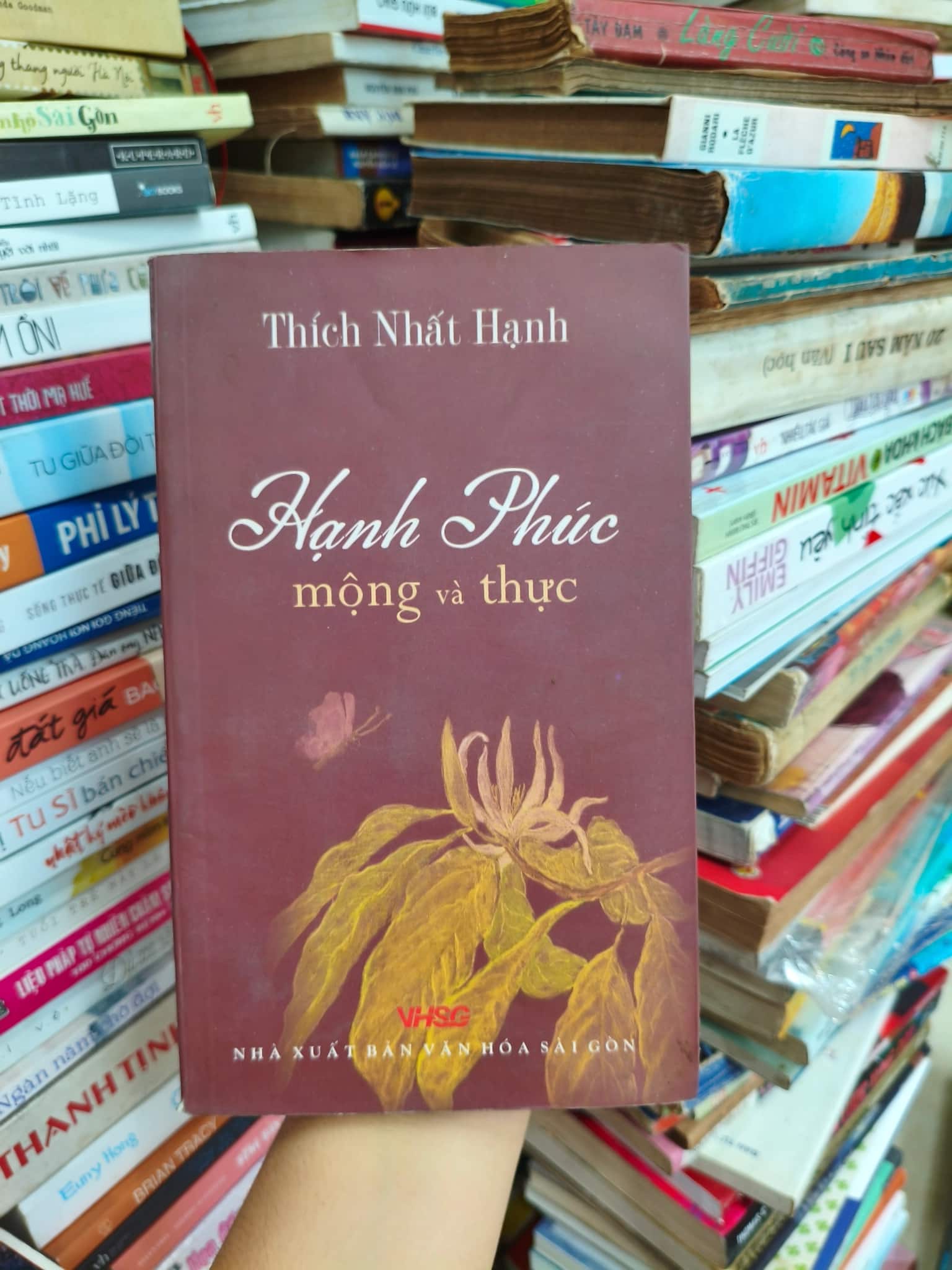 Hạnh phúc mộng và thực 