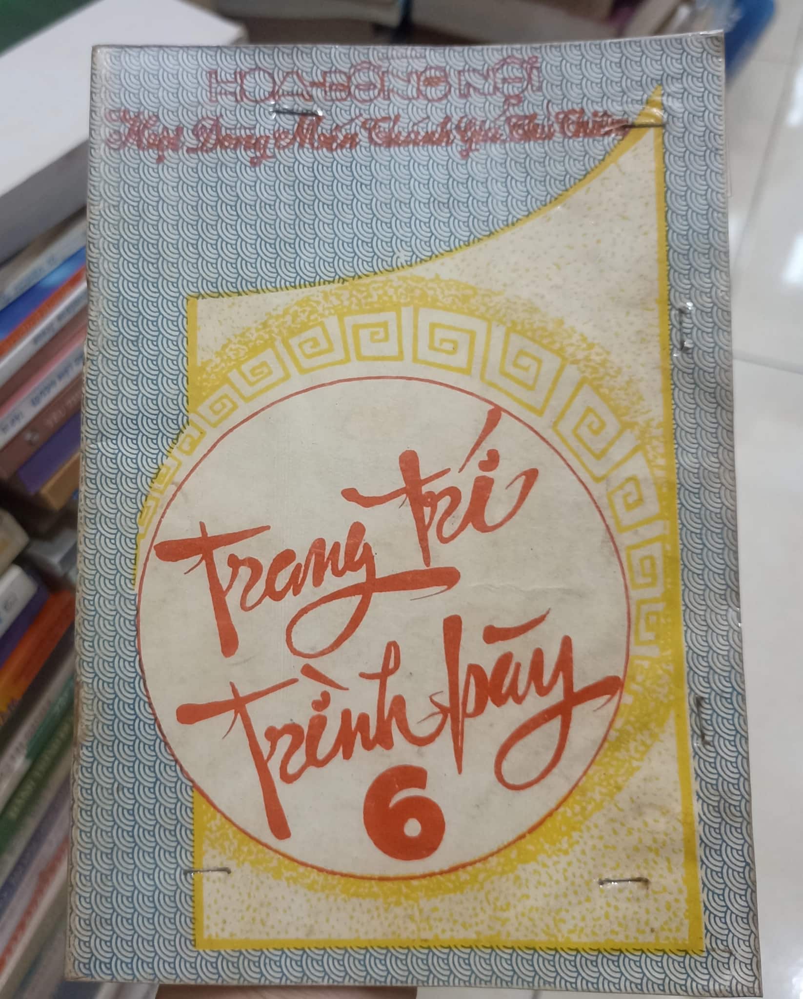 Trang trí trình bày 6