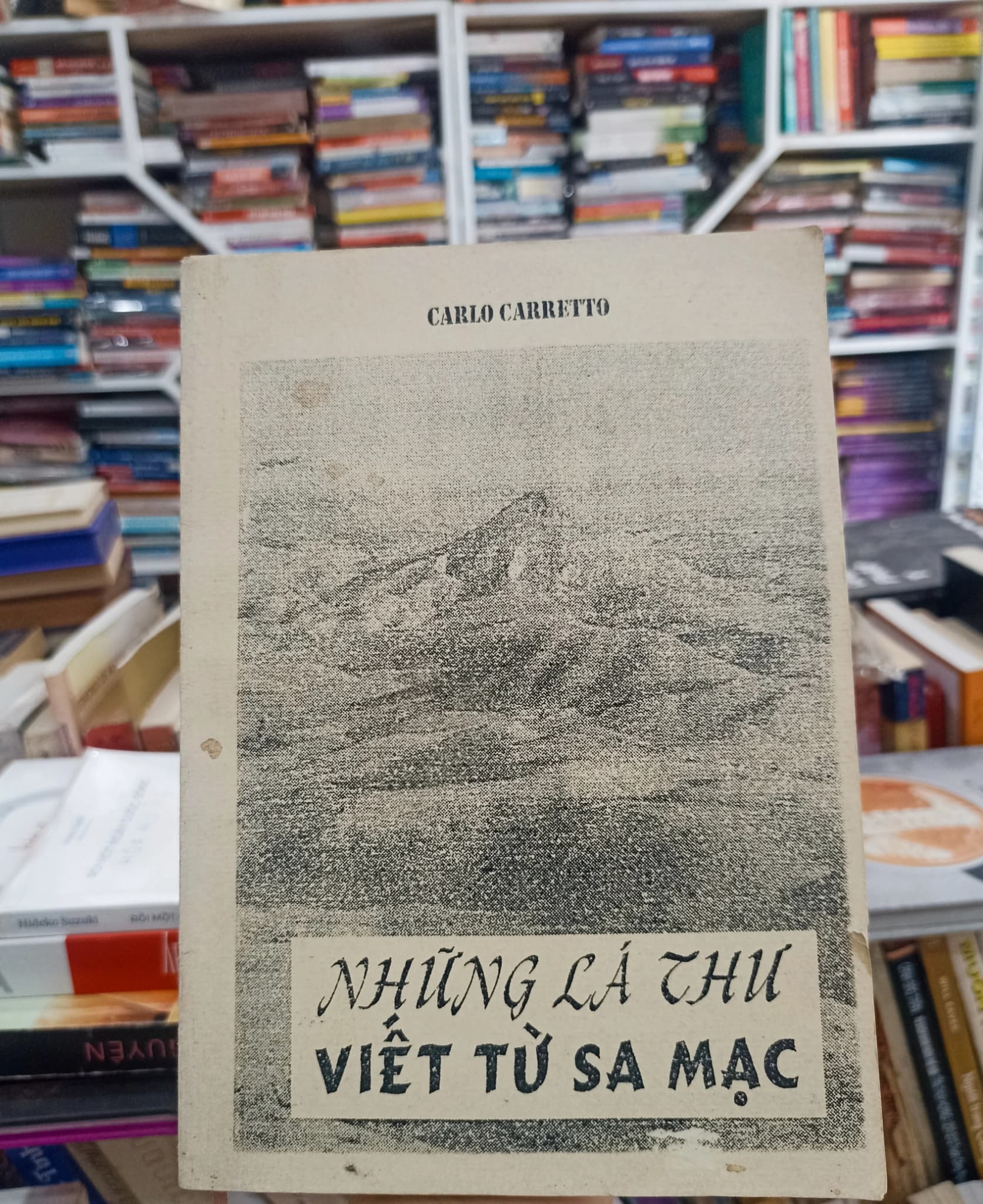 Những lá thư viết từ sa mạc - Image 1