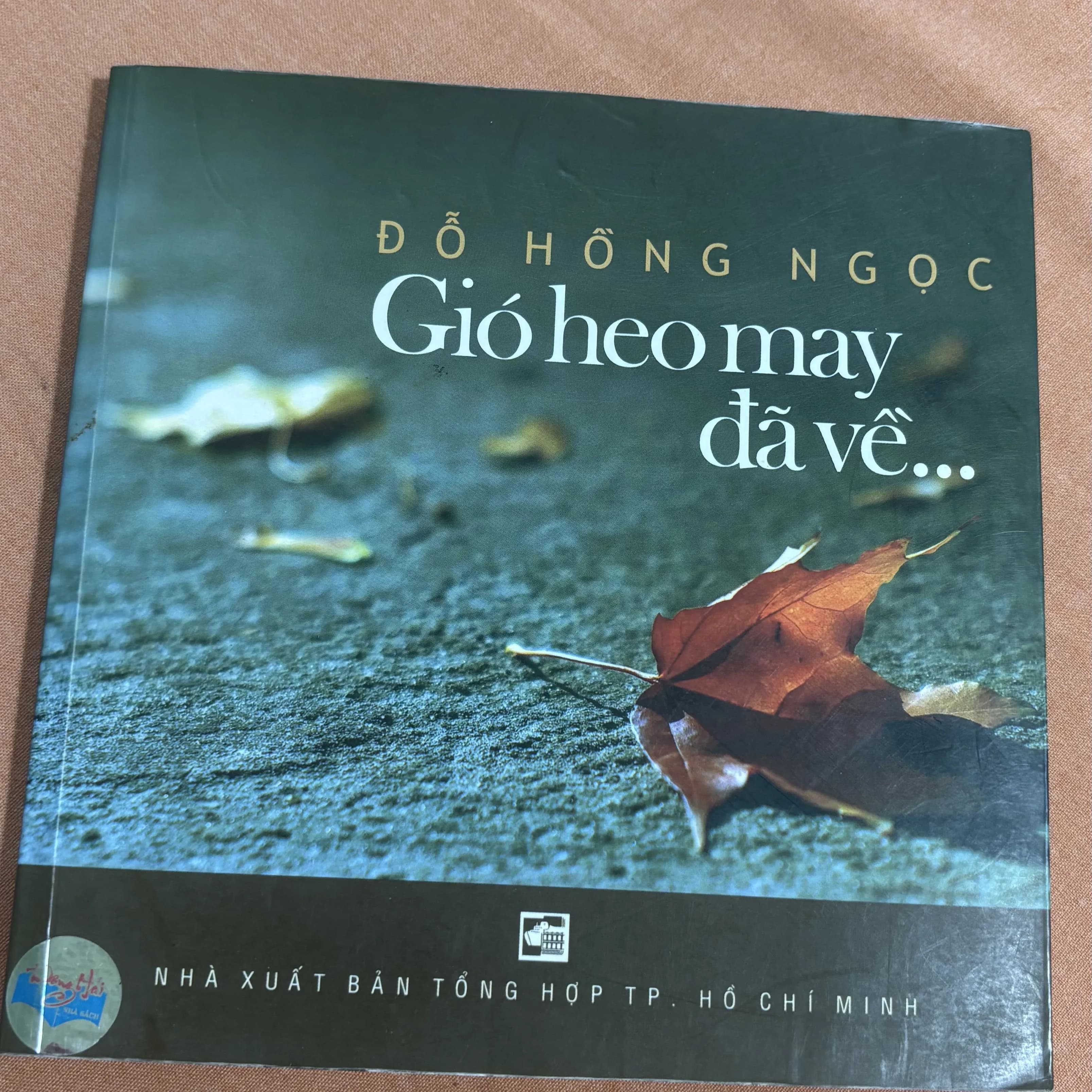 Gió heo may đã về - Image 1