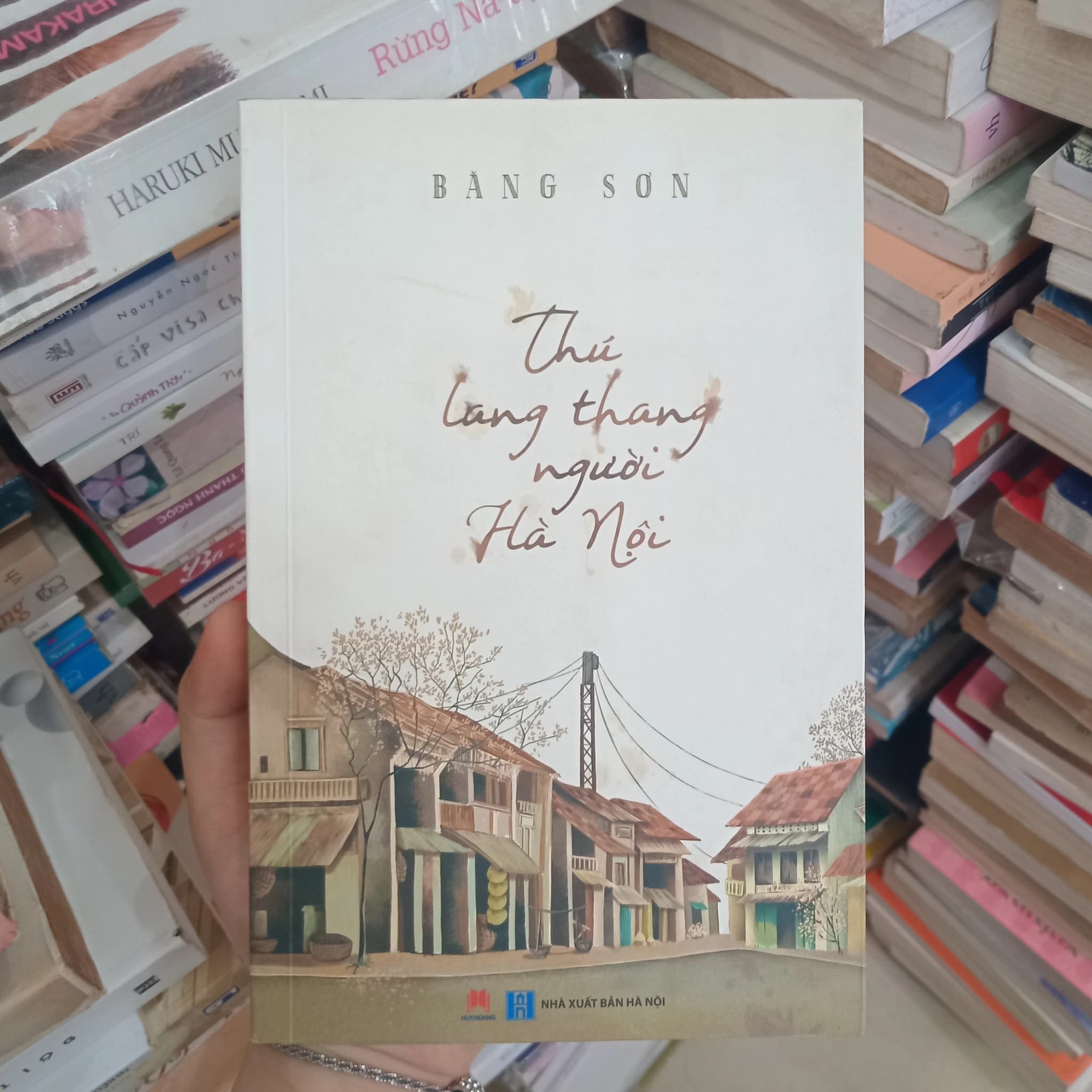 Thú lang thang người Hà Nội - Image 1