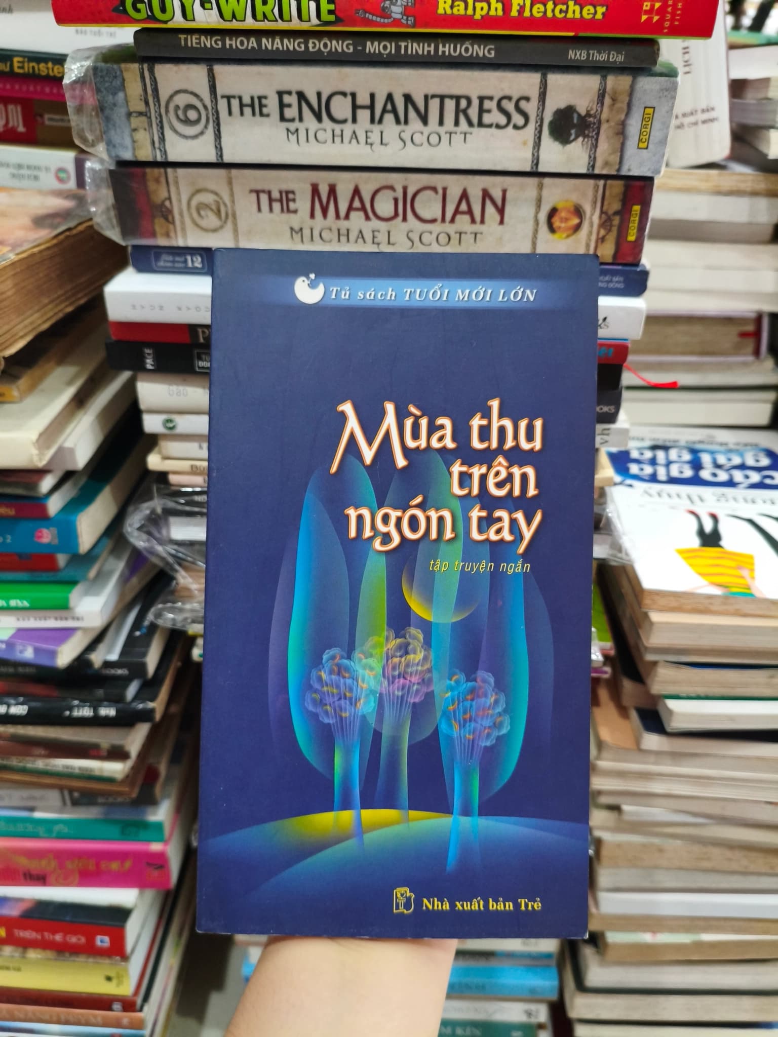 Mùa thu trên ngọn cây - Image 1