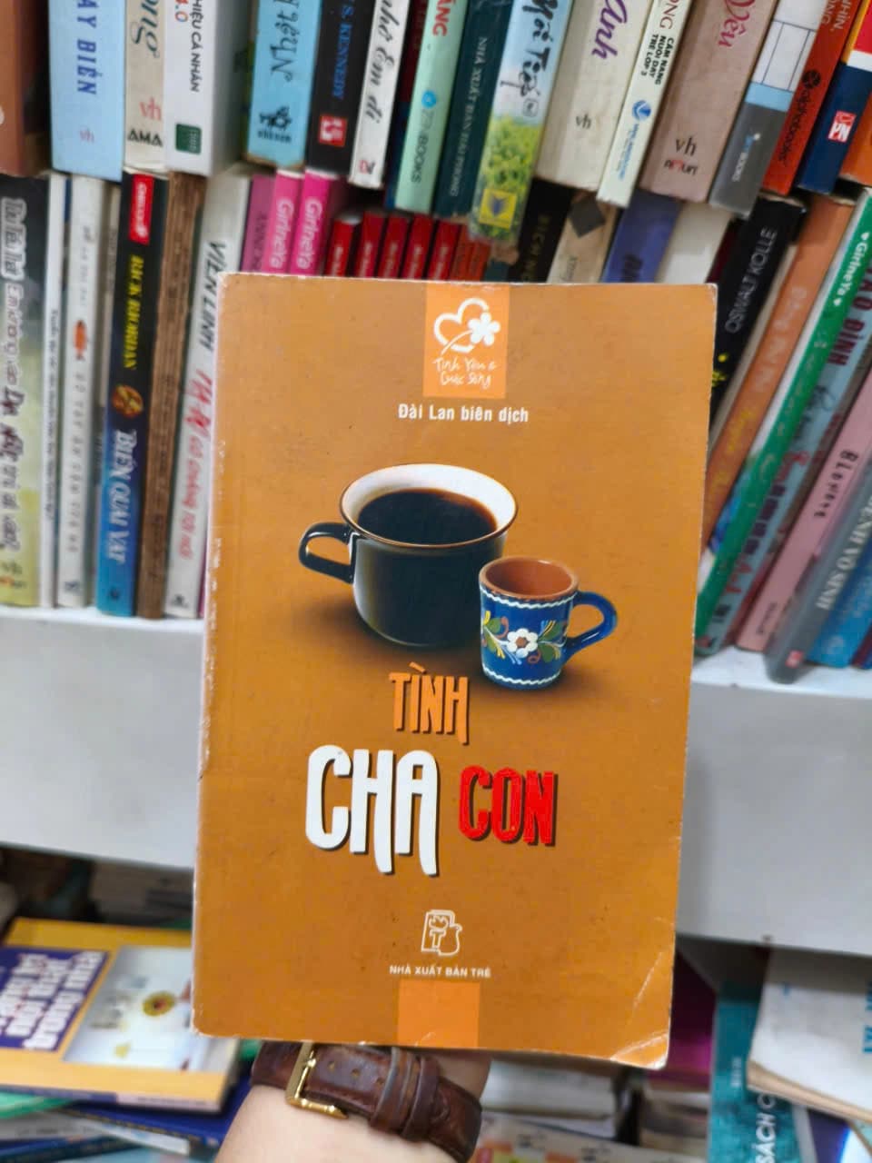 Tình Cha Con - Image 1