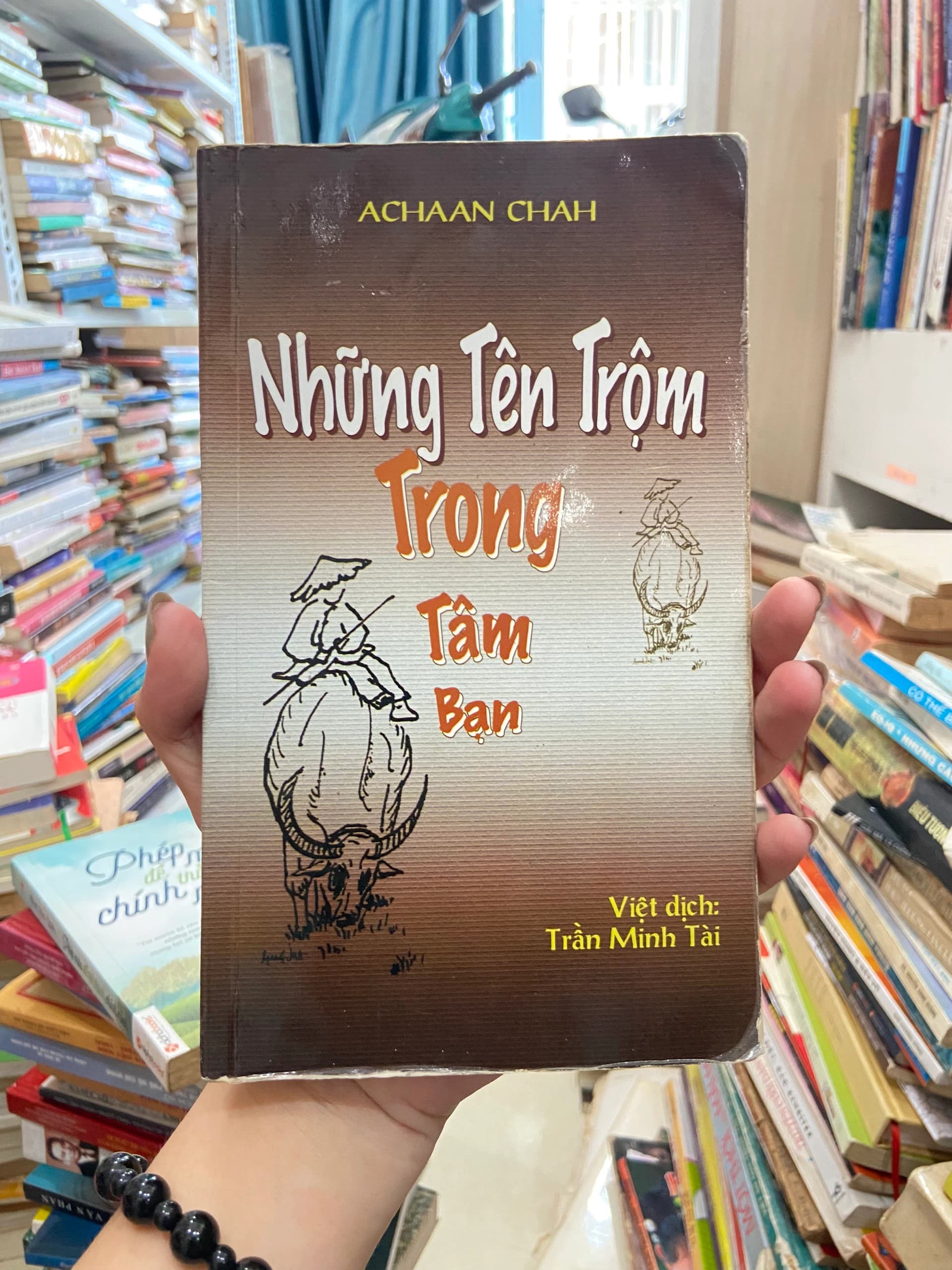 Những Tên Trộm Trong Tâm Bạn - Image 1