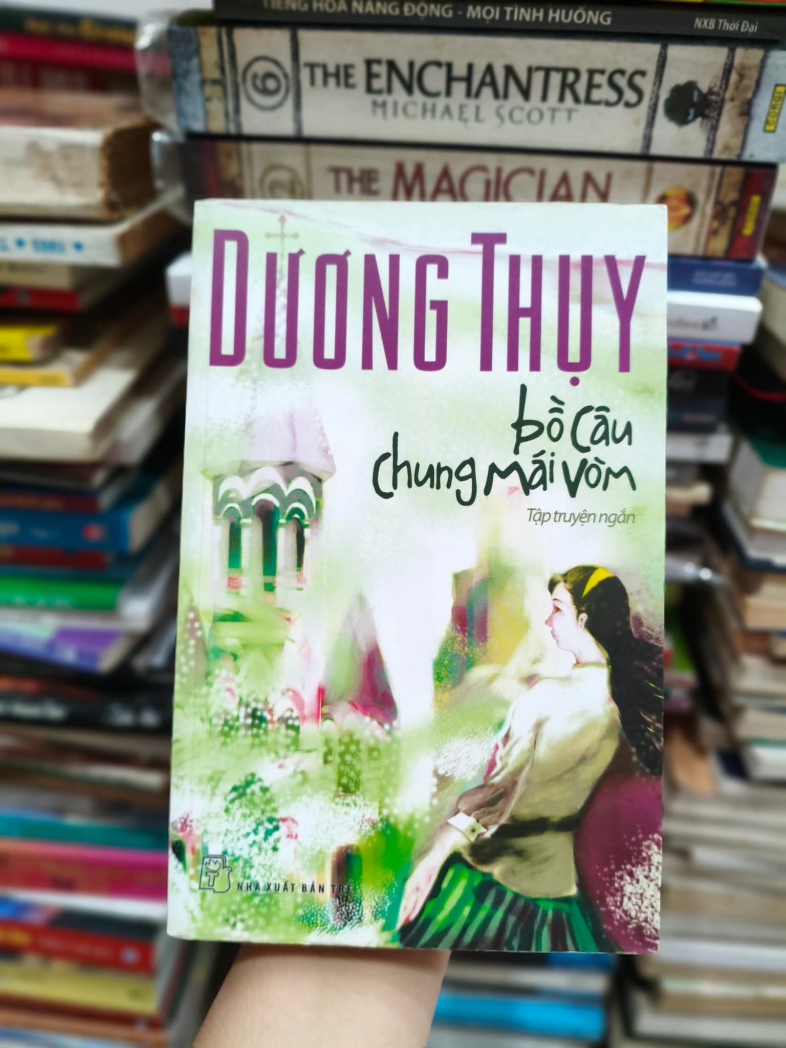 Bồ câu chung mái vòm - Image 1