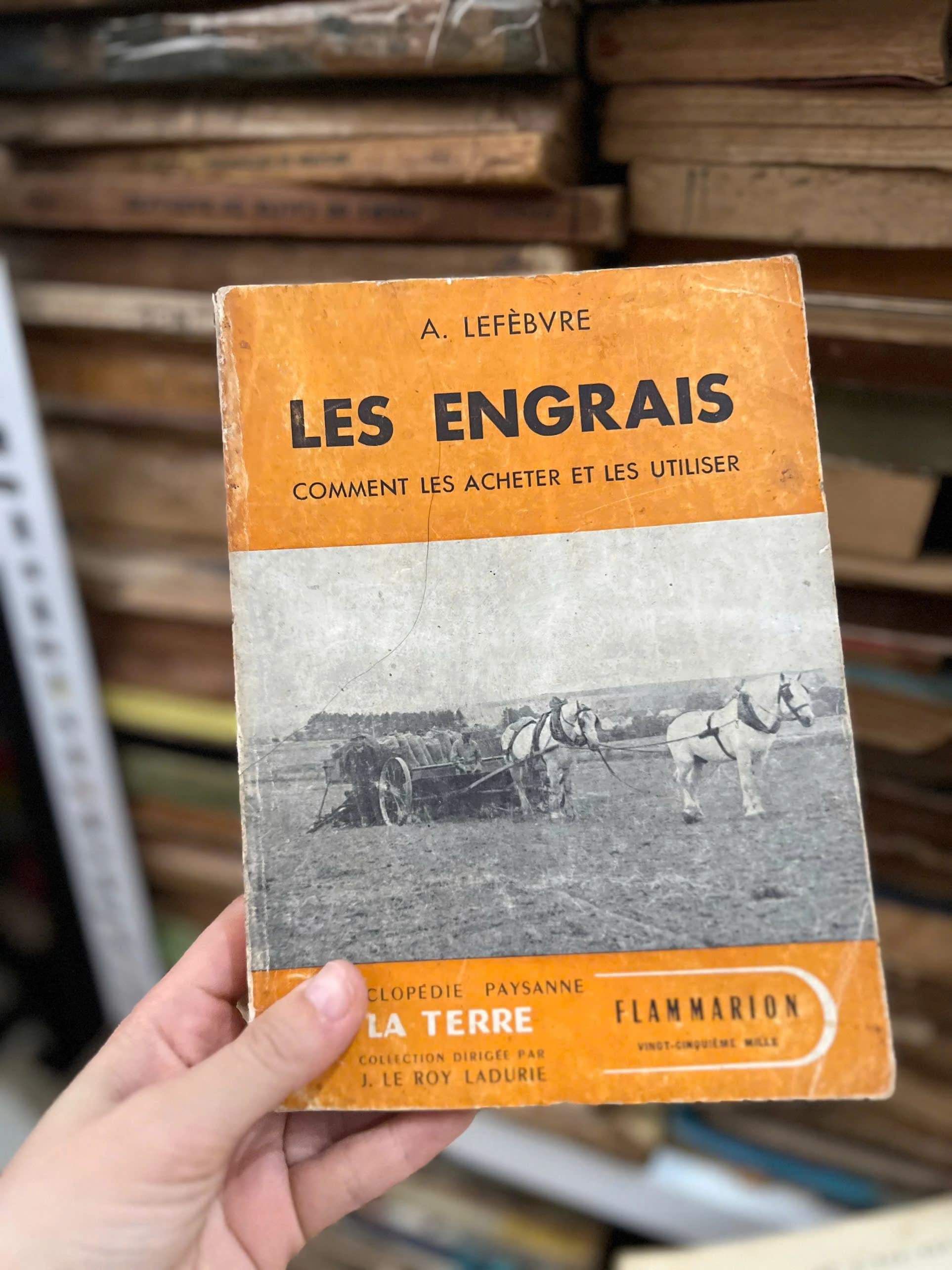 Les engrais: Comment les acheter et les utiliser - Image 1