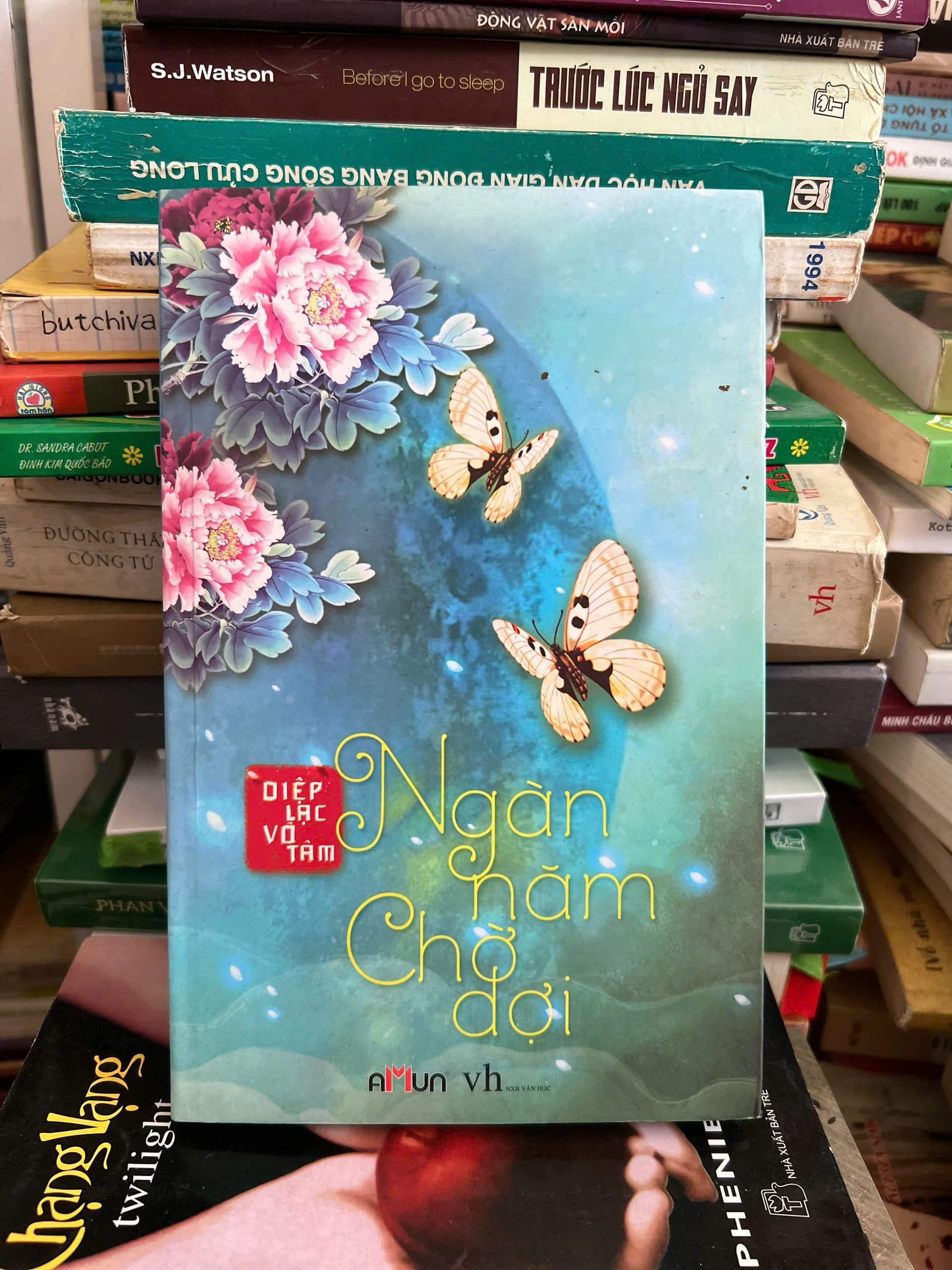 Ngàn Năm Chờ Đợ - Image 1