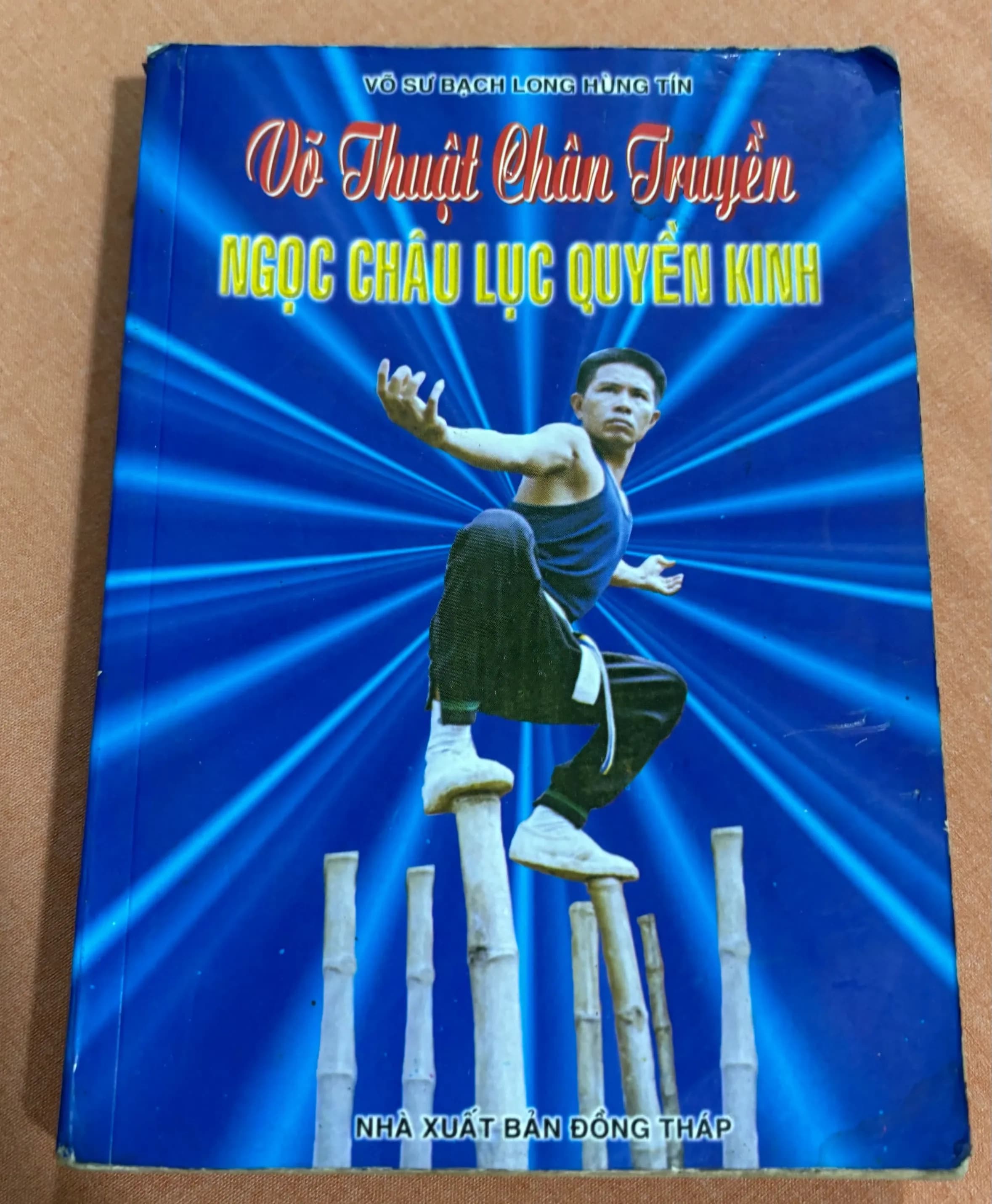 Võ thuật chân truyền - Ngọc Châu Lục Quyền Minh - Image 1