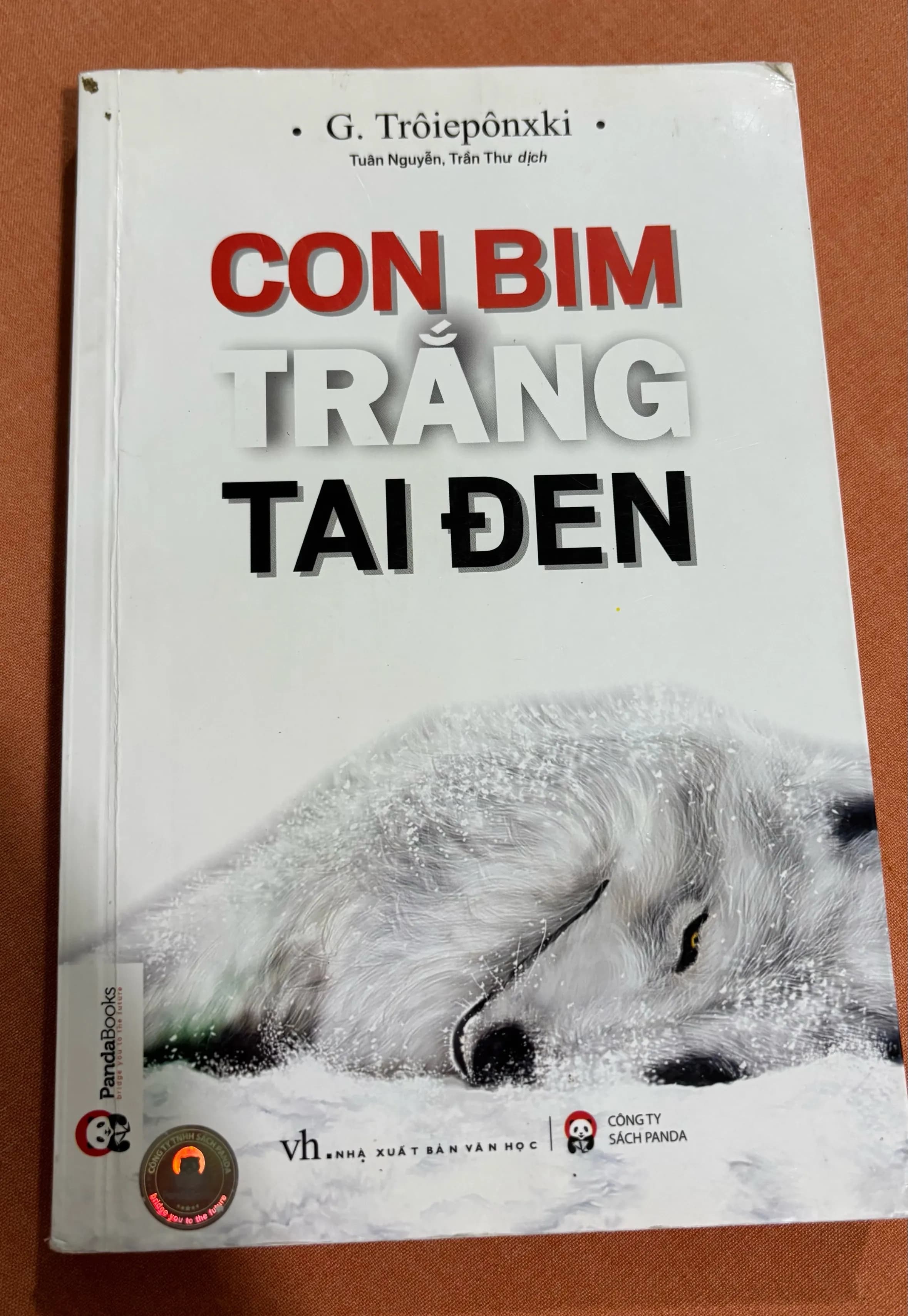 Con bim trắng tai đen - Image 1