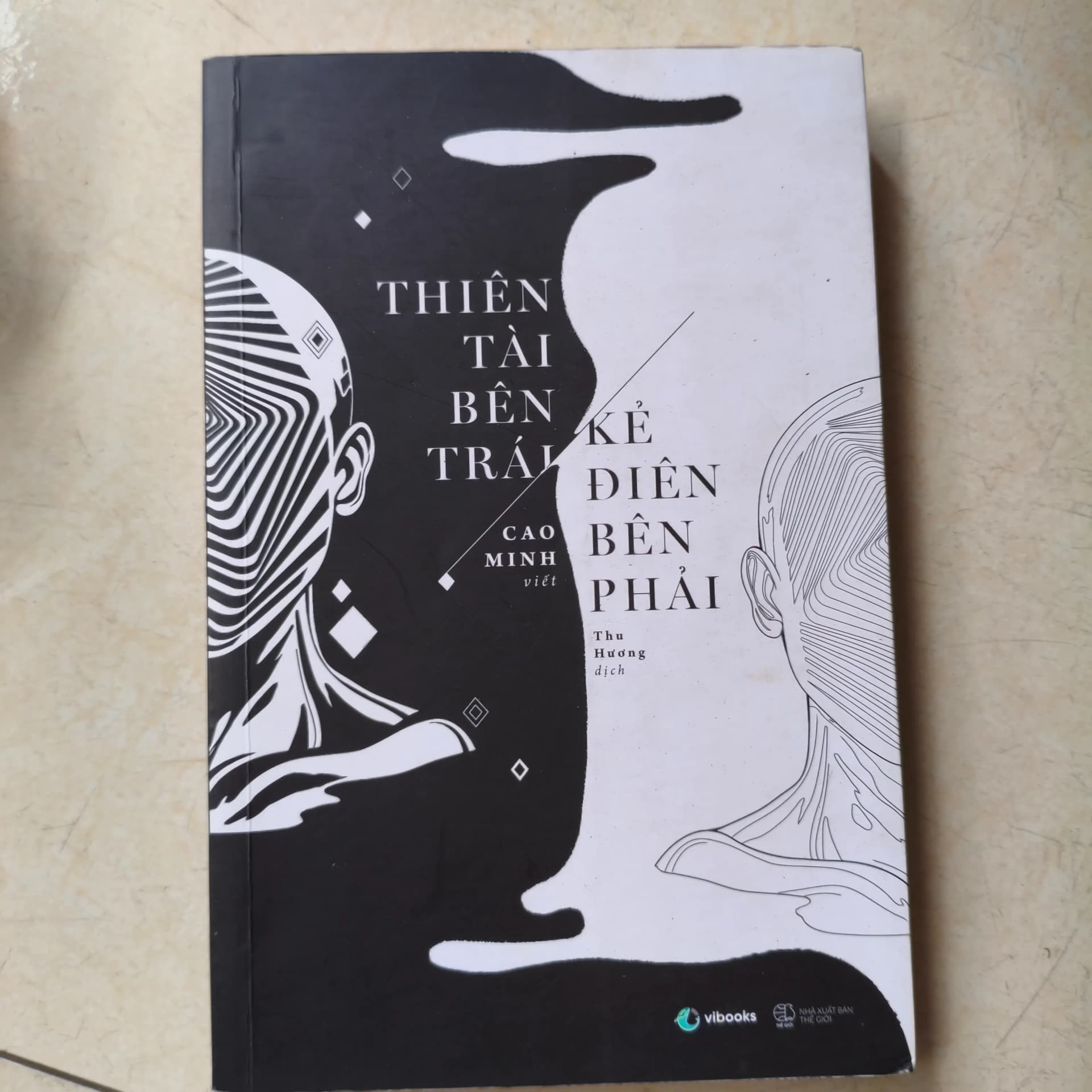Thiên tài bên trái kẻ điên bên phải - Image 1
