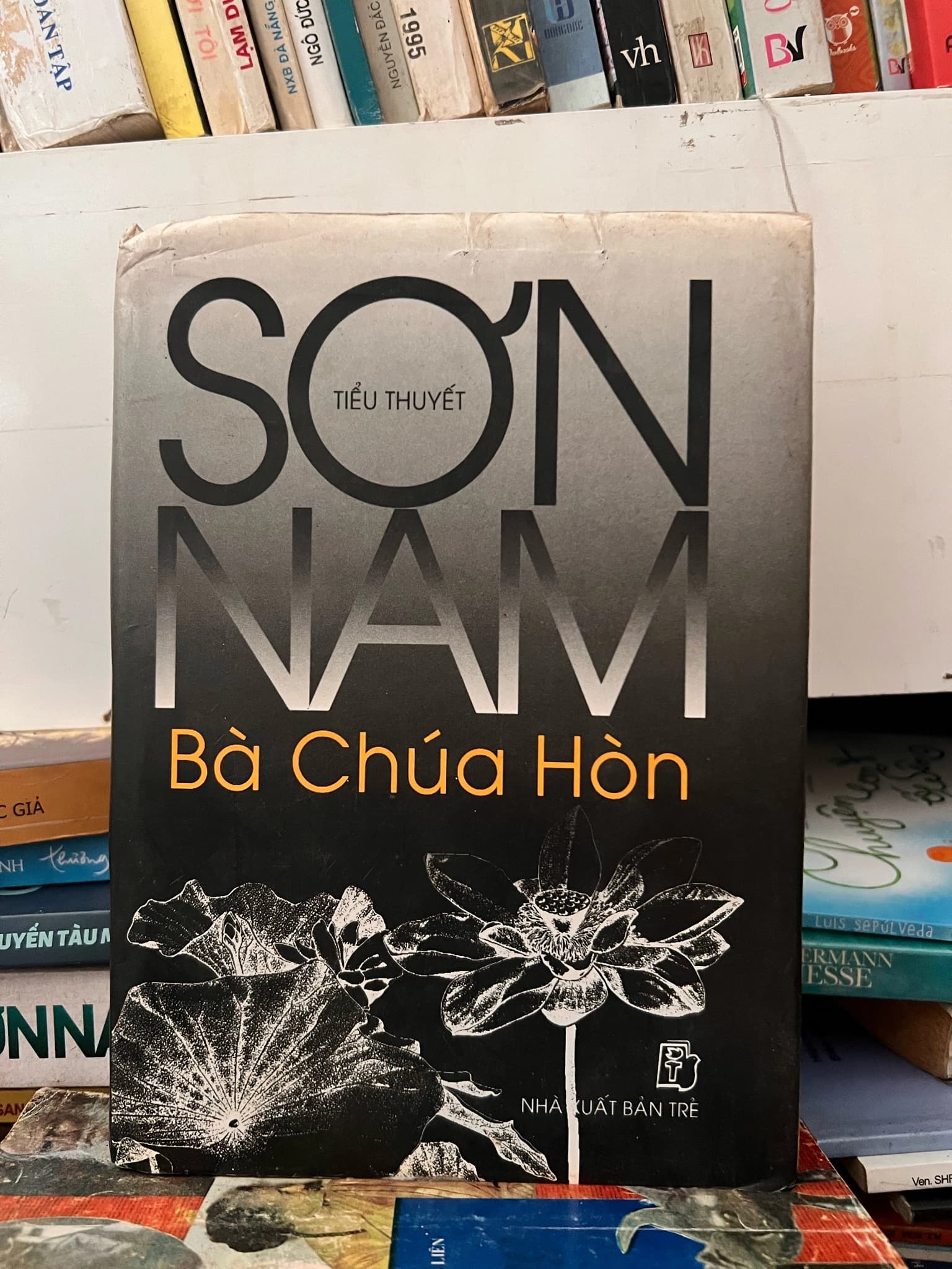 Tiểu thuyết sơn nam Nà chúa Hòn - Image 1