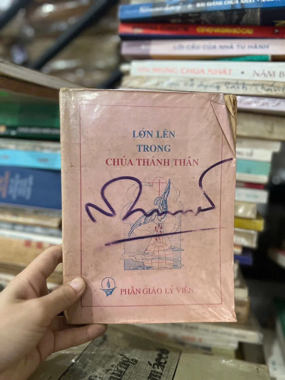 Lớn Lên Trong Chúa Thánh Thần - Image 1