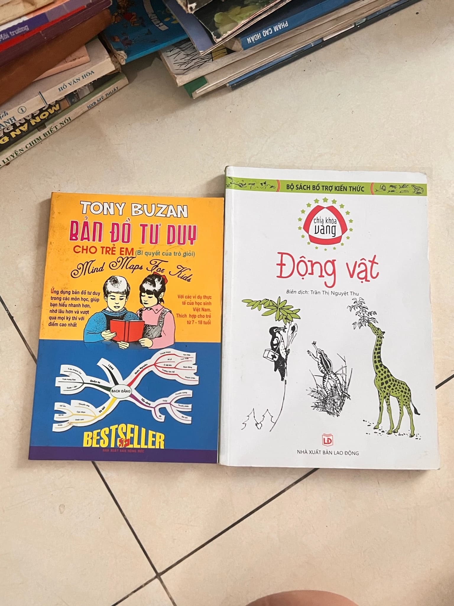 Conbo 2 cuốn, sơ đồ tư duy và kỳ quan thế giới thực vật cho bé - Image 1