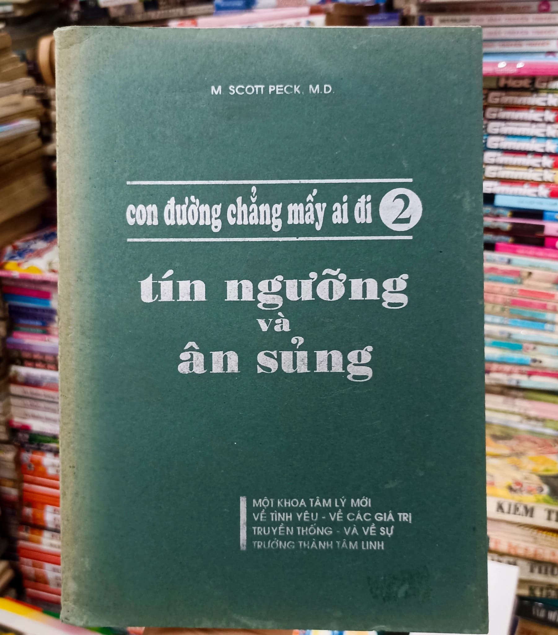 Tín ngưỡng và ân sủng - Image 1