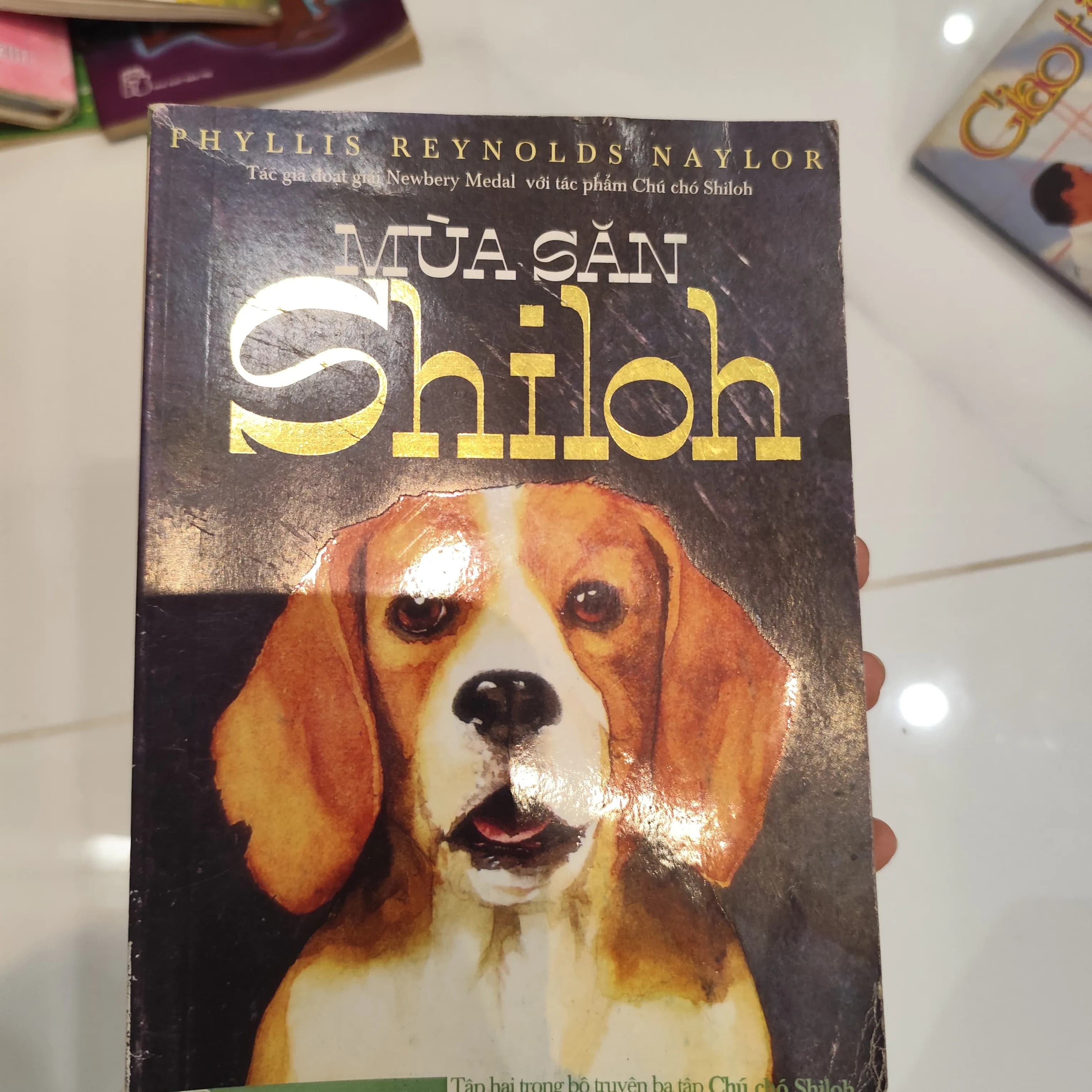 Mùa săn Shiloh - Image 1