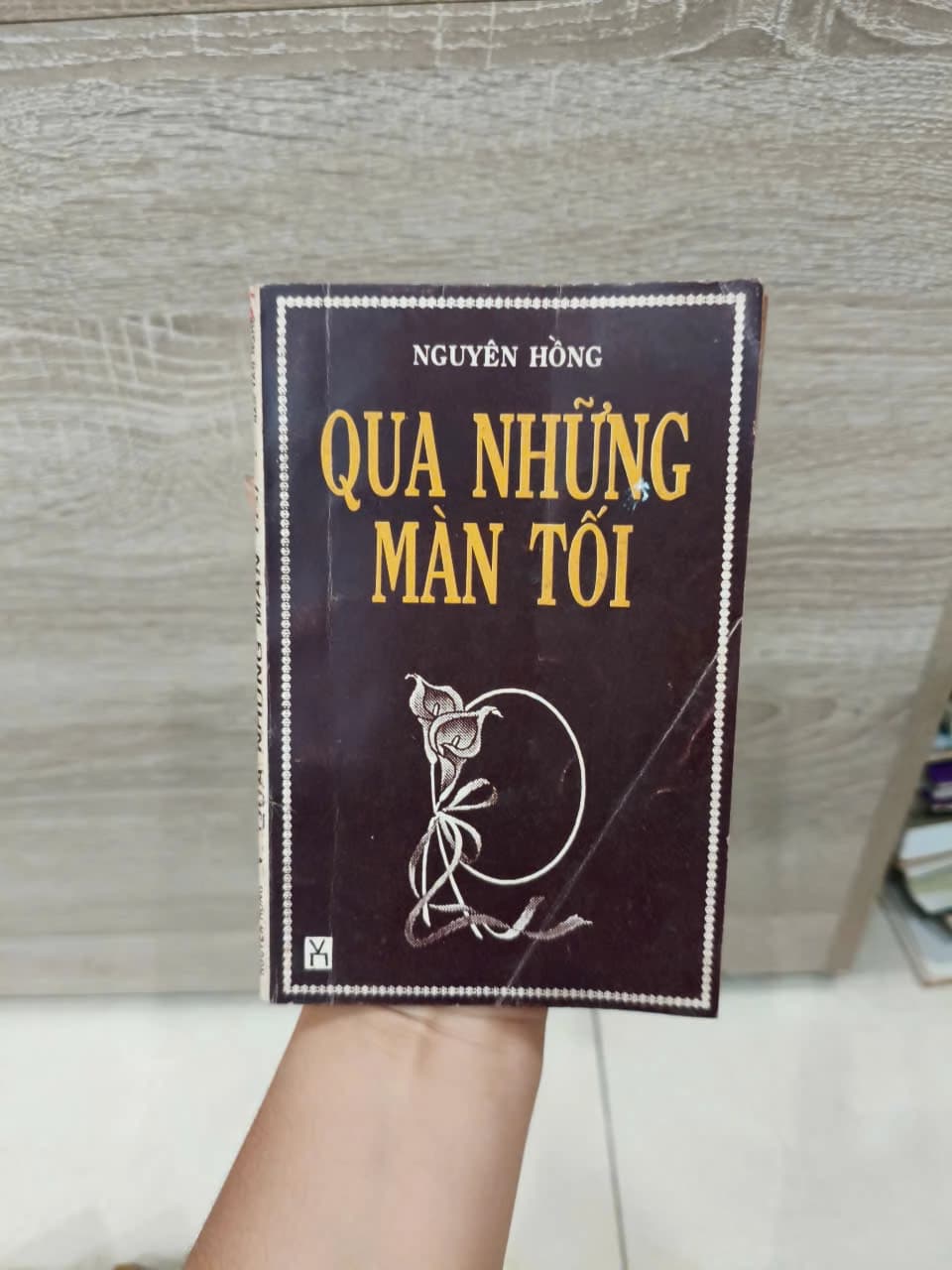 Qua Những Màn Tối - Image 1