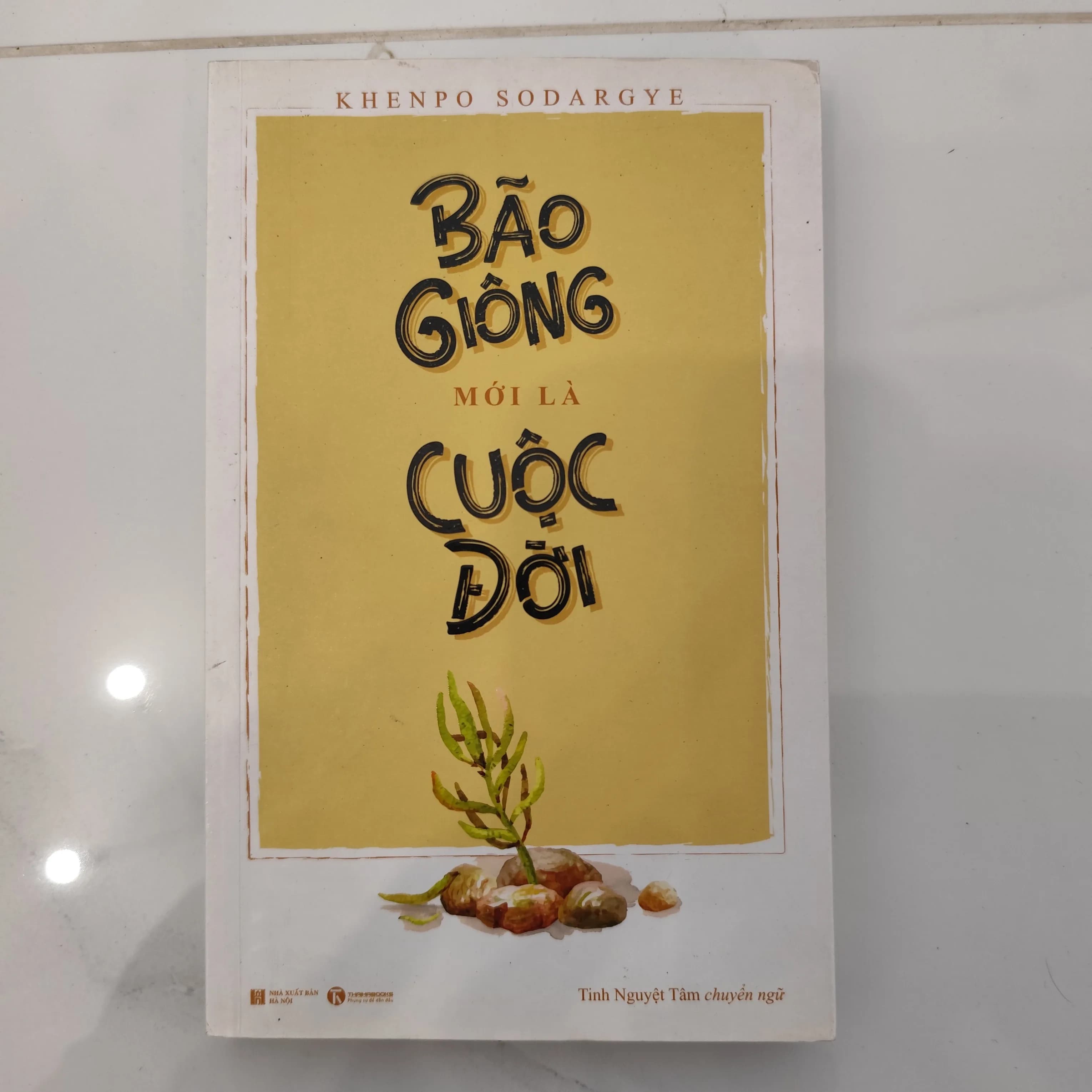 Bão giông mới là cuộc đời - Image 1