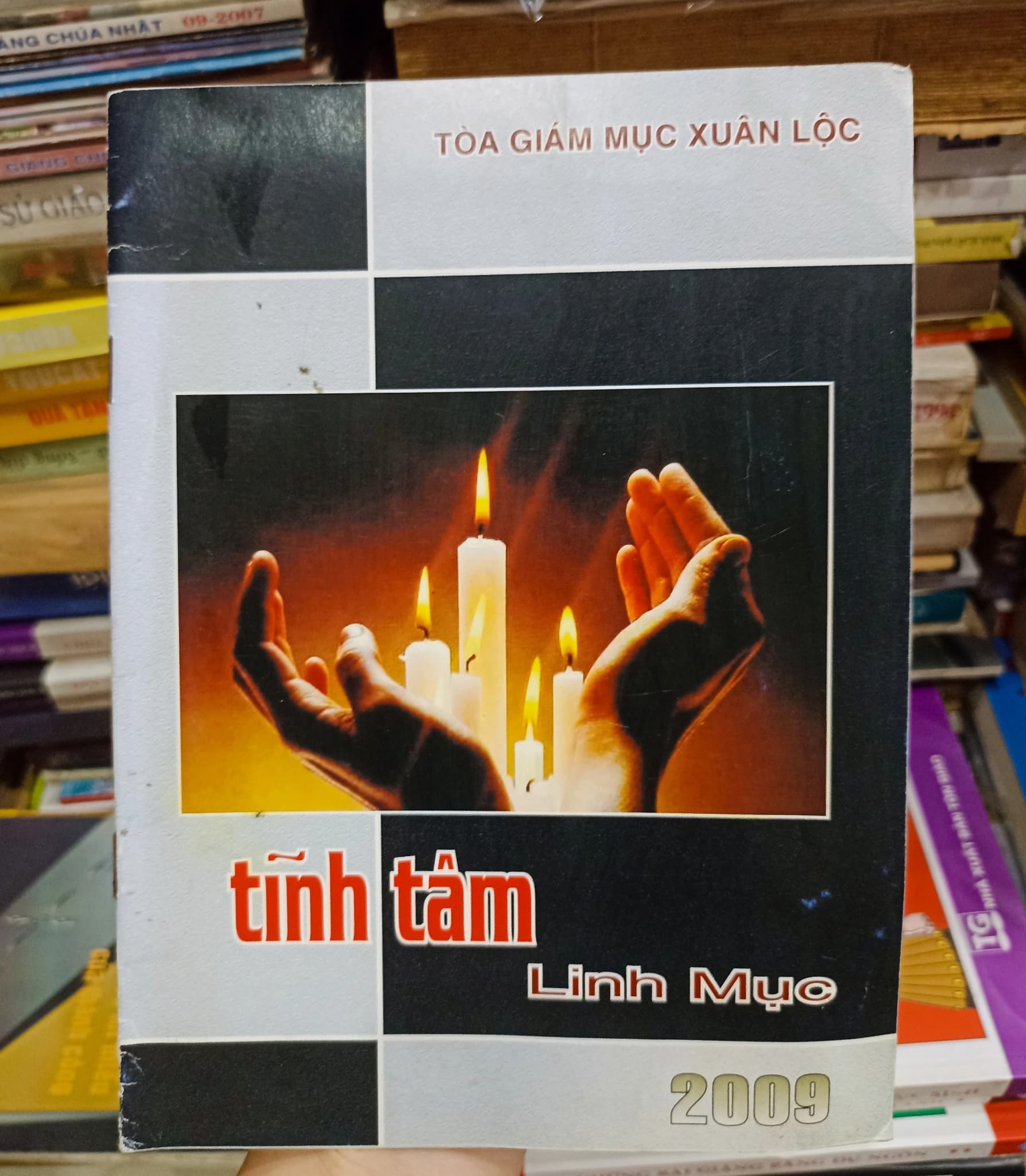 Lĩnh Tâm Linh Mục - Image 1