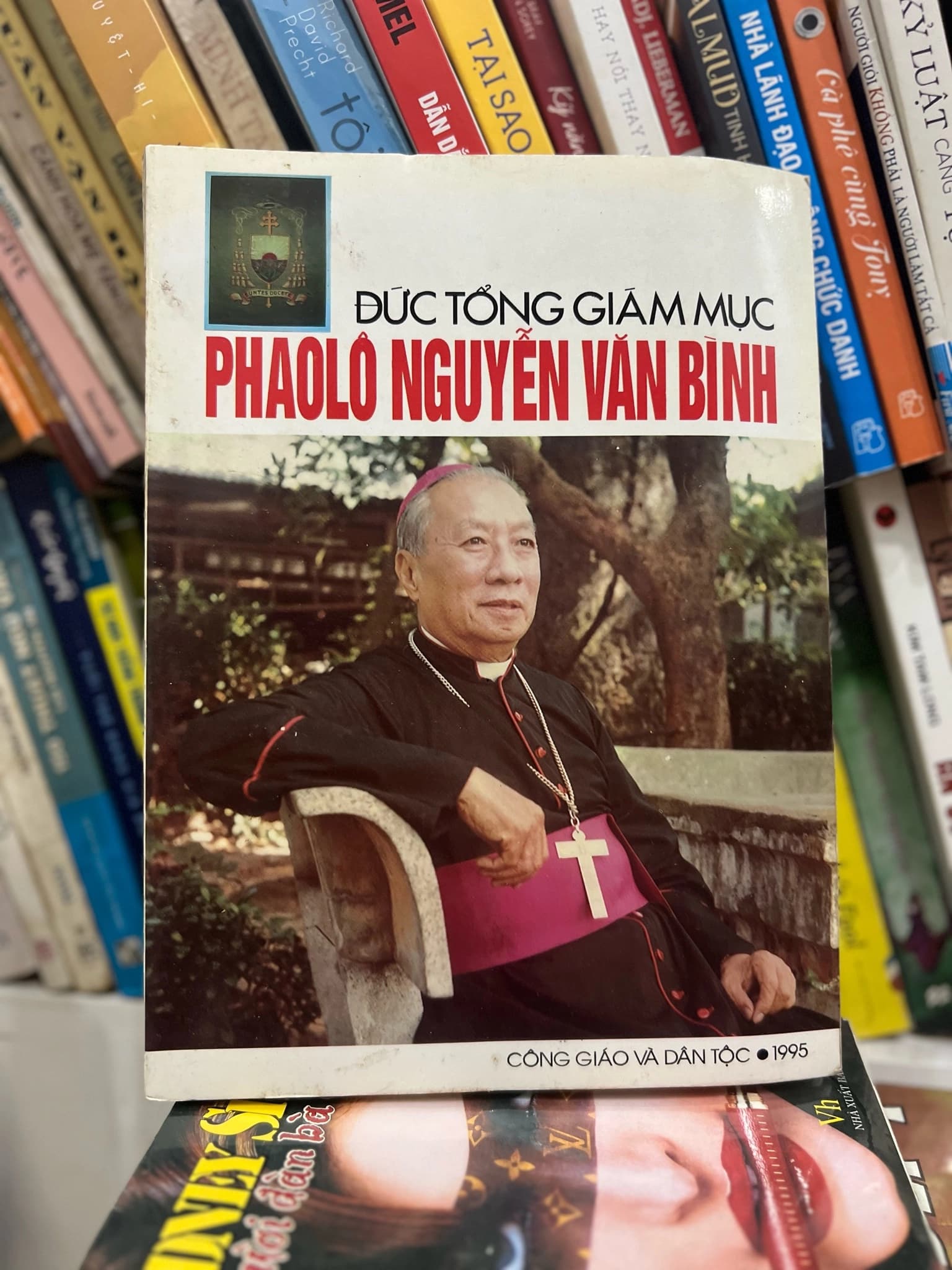 Đức tổng giám mục - Phao Lô Nguyễn Văn Bình - Image 1