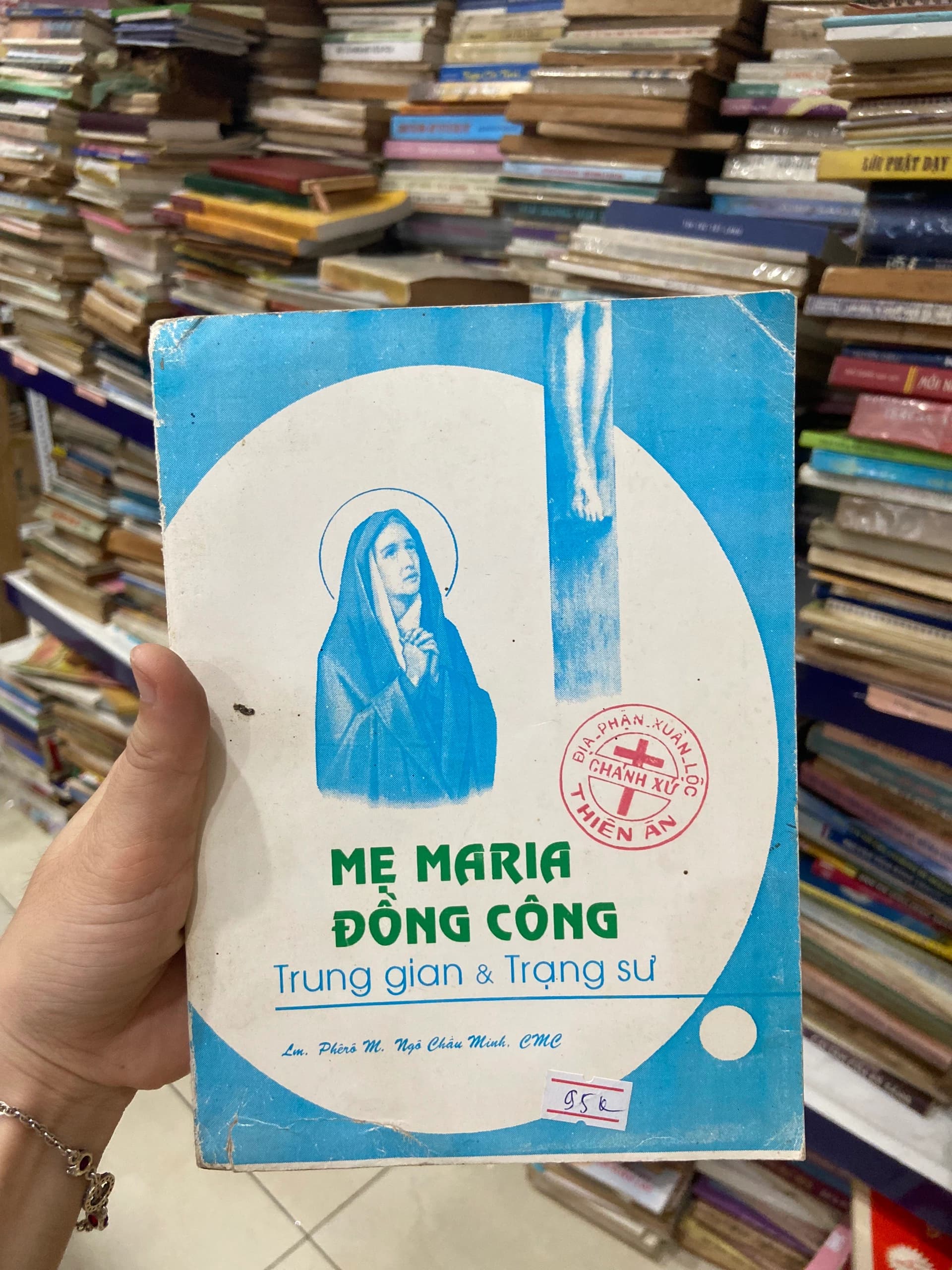 Mẹ Maria Đồng Công Trung Gian Và Trạng Sư - Image 1