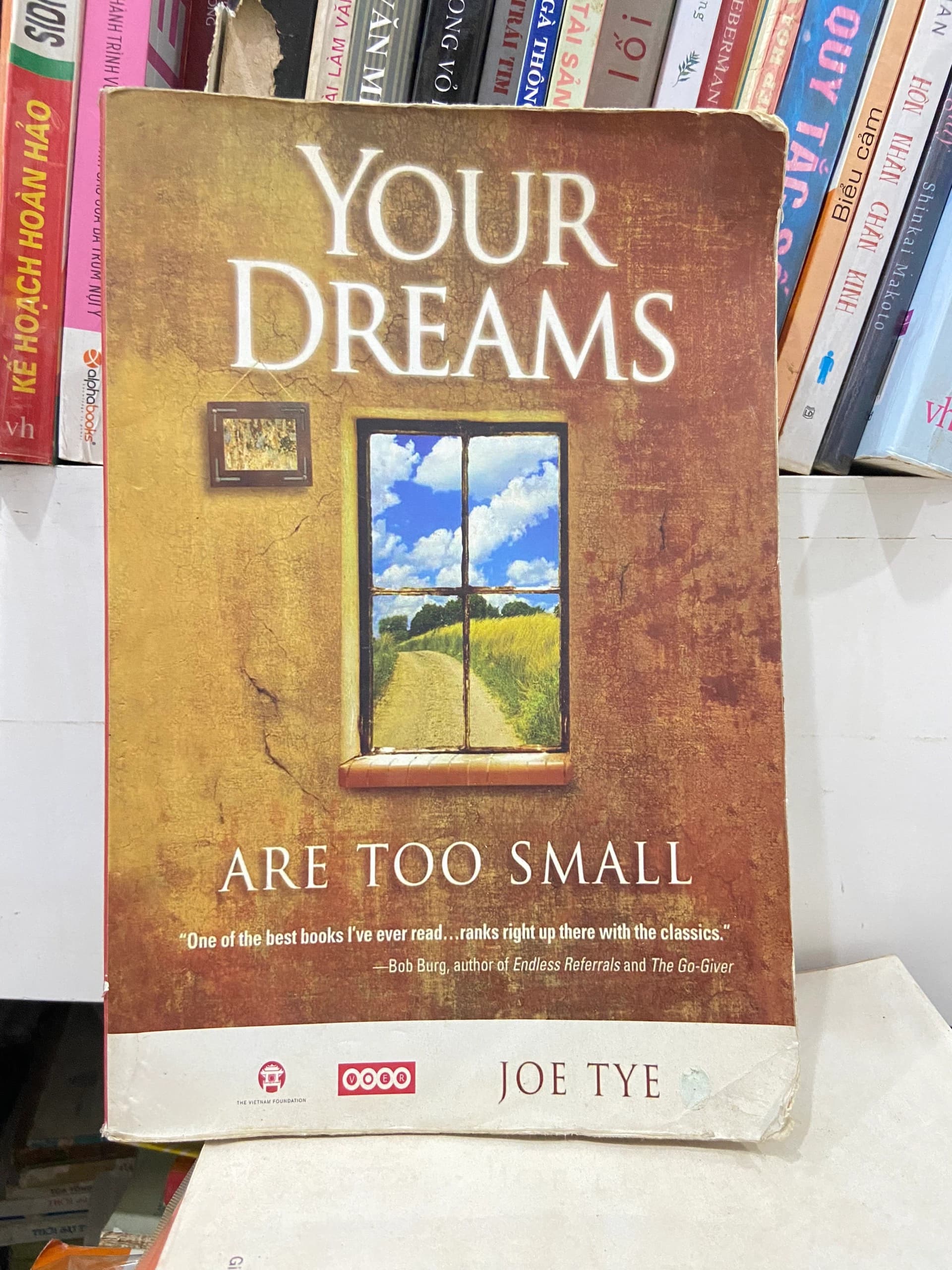 Your Dreams Are Too Small by Joe Tye - Image 1