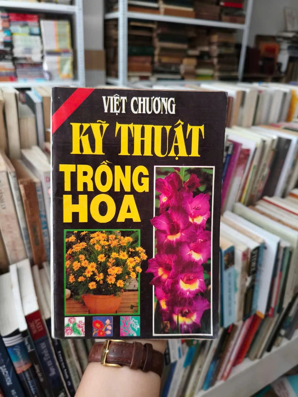 Kỹ Thuật Trồng Hoa - Việt Chương - Image 1