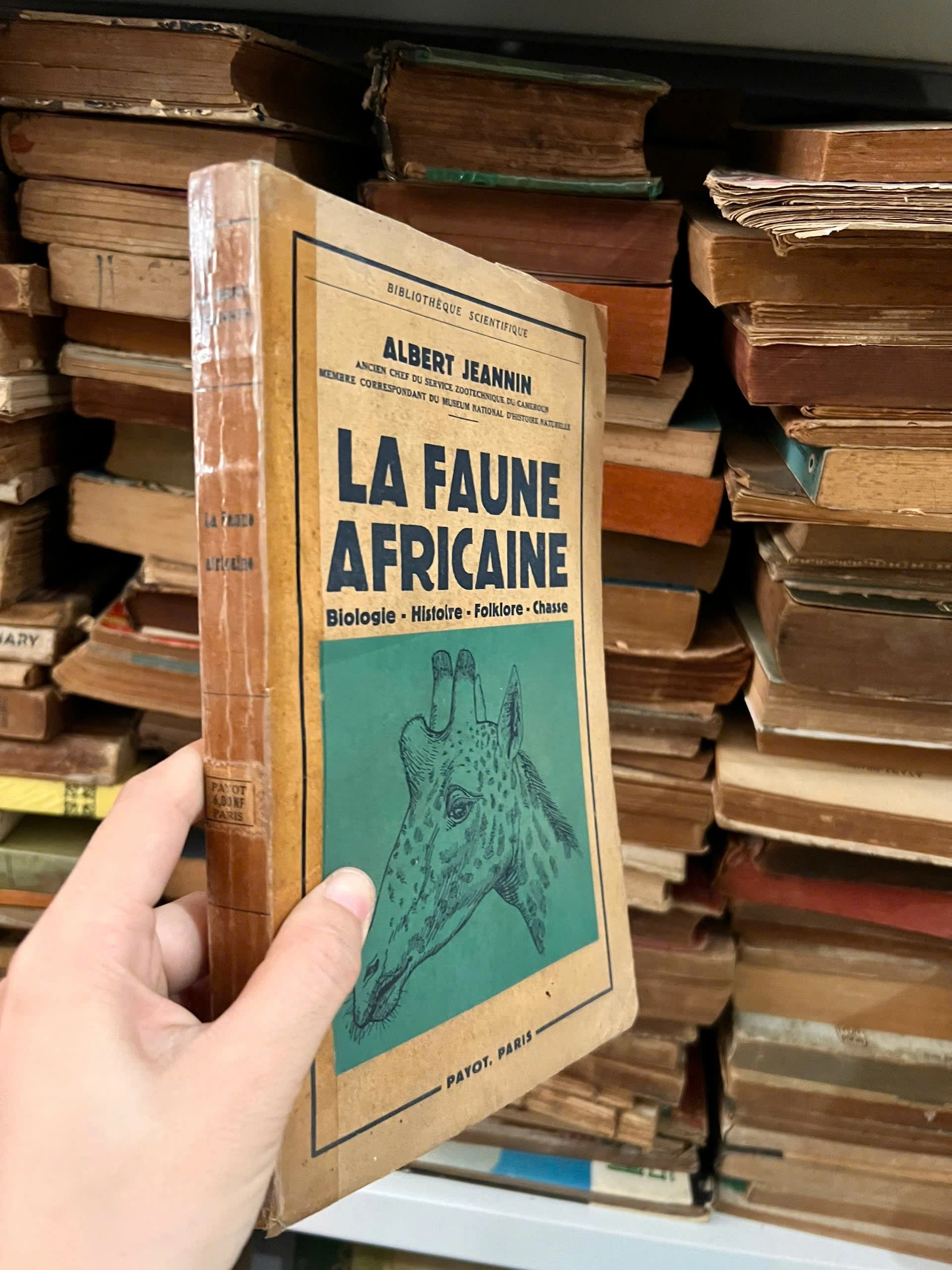 La Faune Africaine. Biologie, Histoire, Folklore, Chasse - Image 1