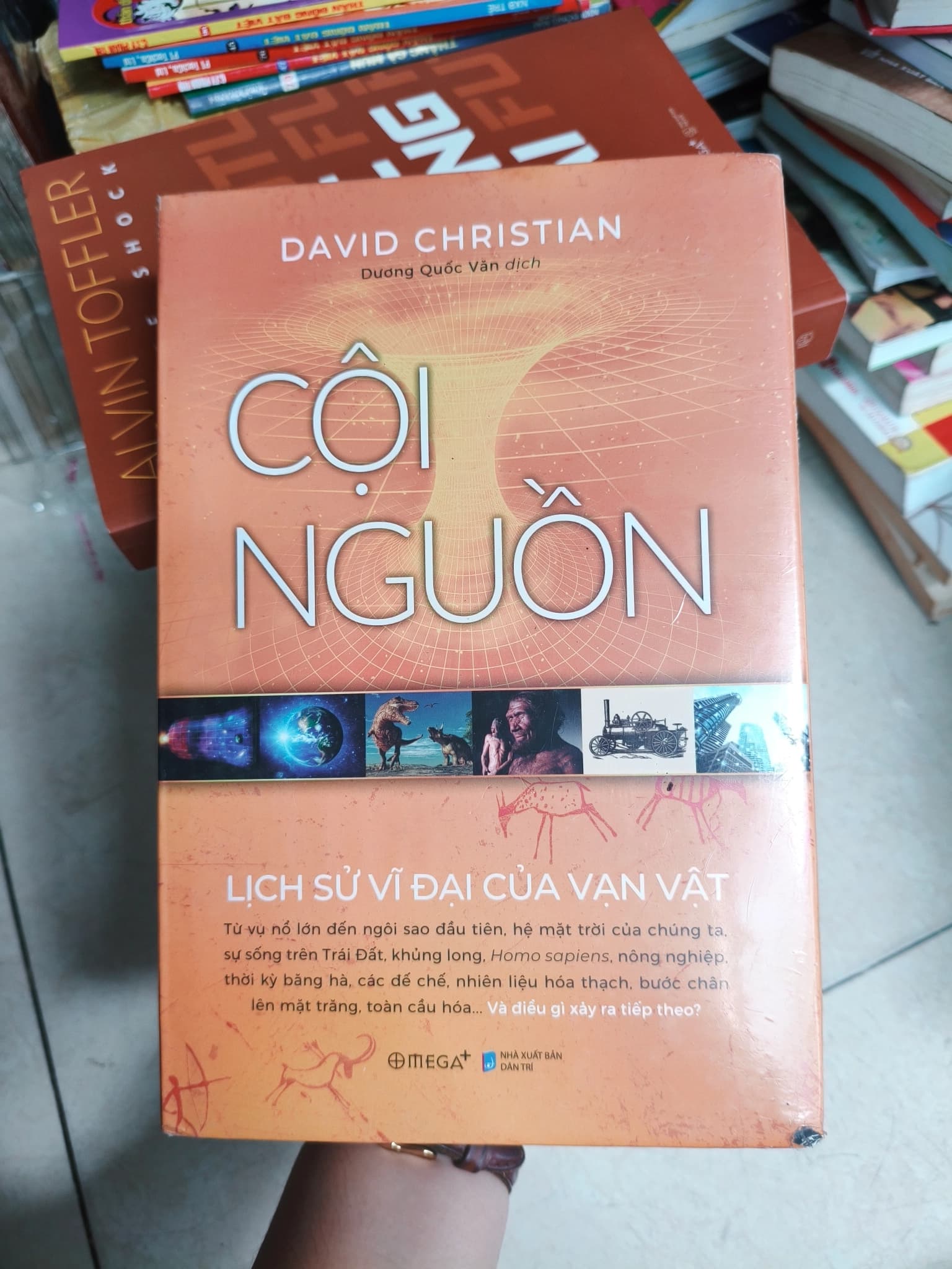 Cội nguồn - Image 1