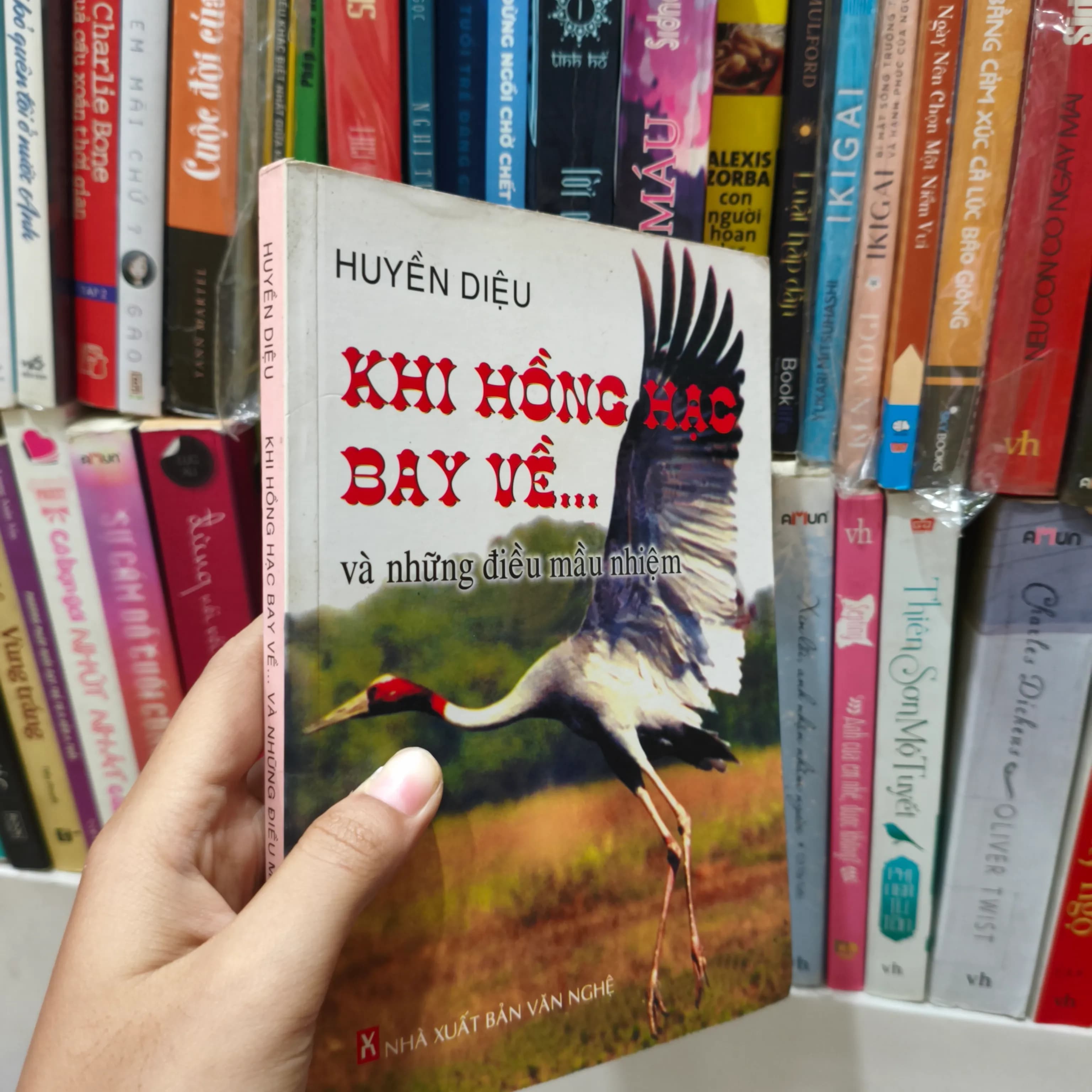 Khi hồng hạc bay về và những điều màu nghiệm - Image 1