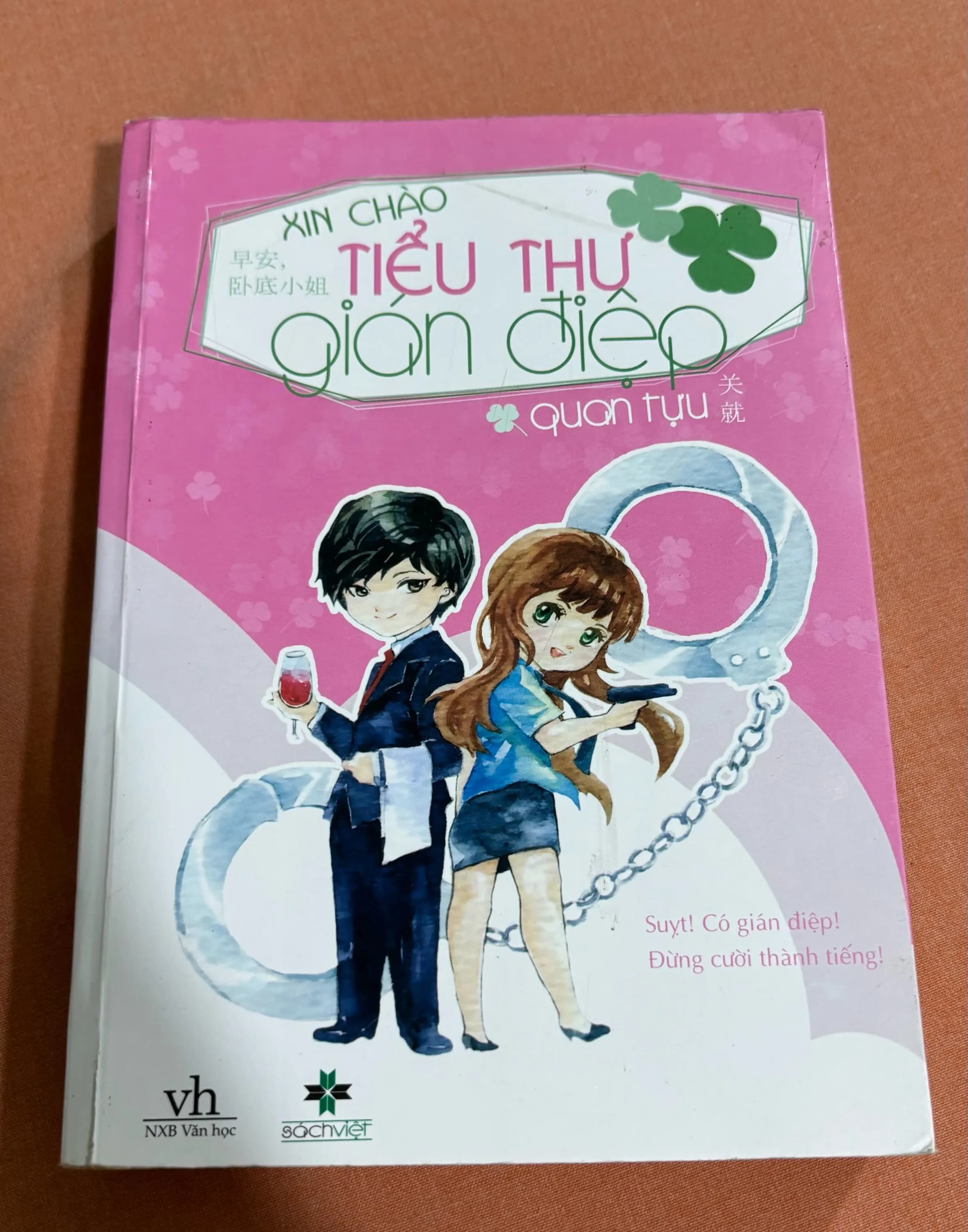 Xin chào tiểu thư gián điệp - Image 1