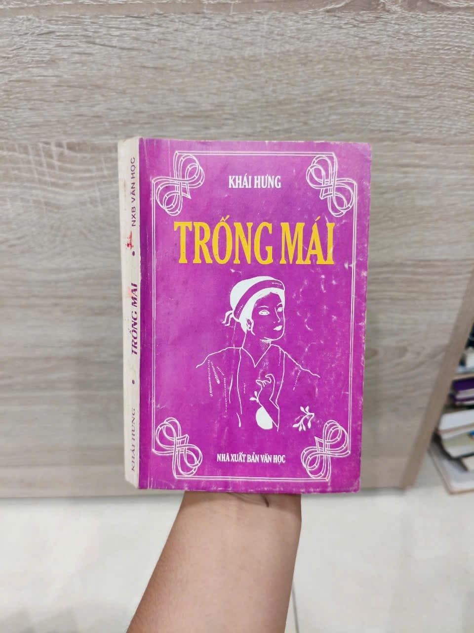 Trống Mái - Khái Hưng - Image 1