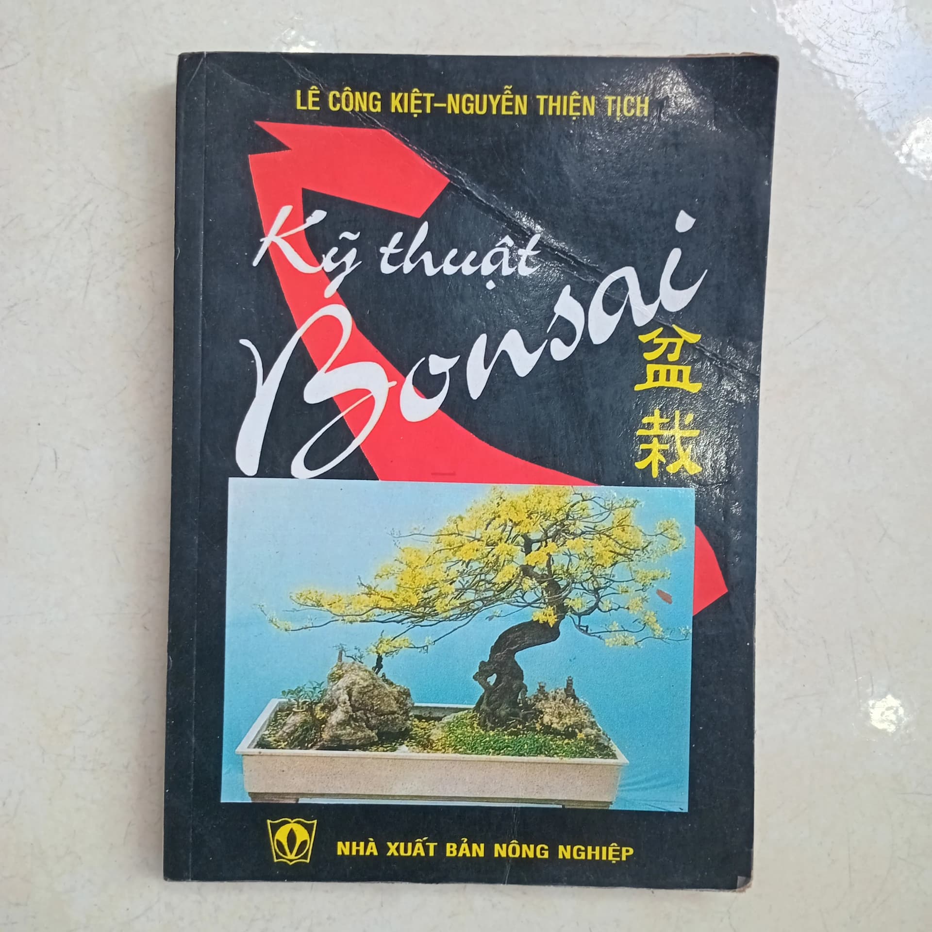 Kỹ thuật bonsai - Image 1