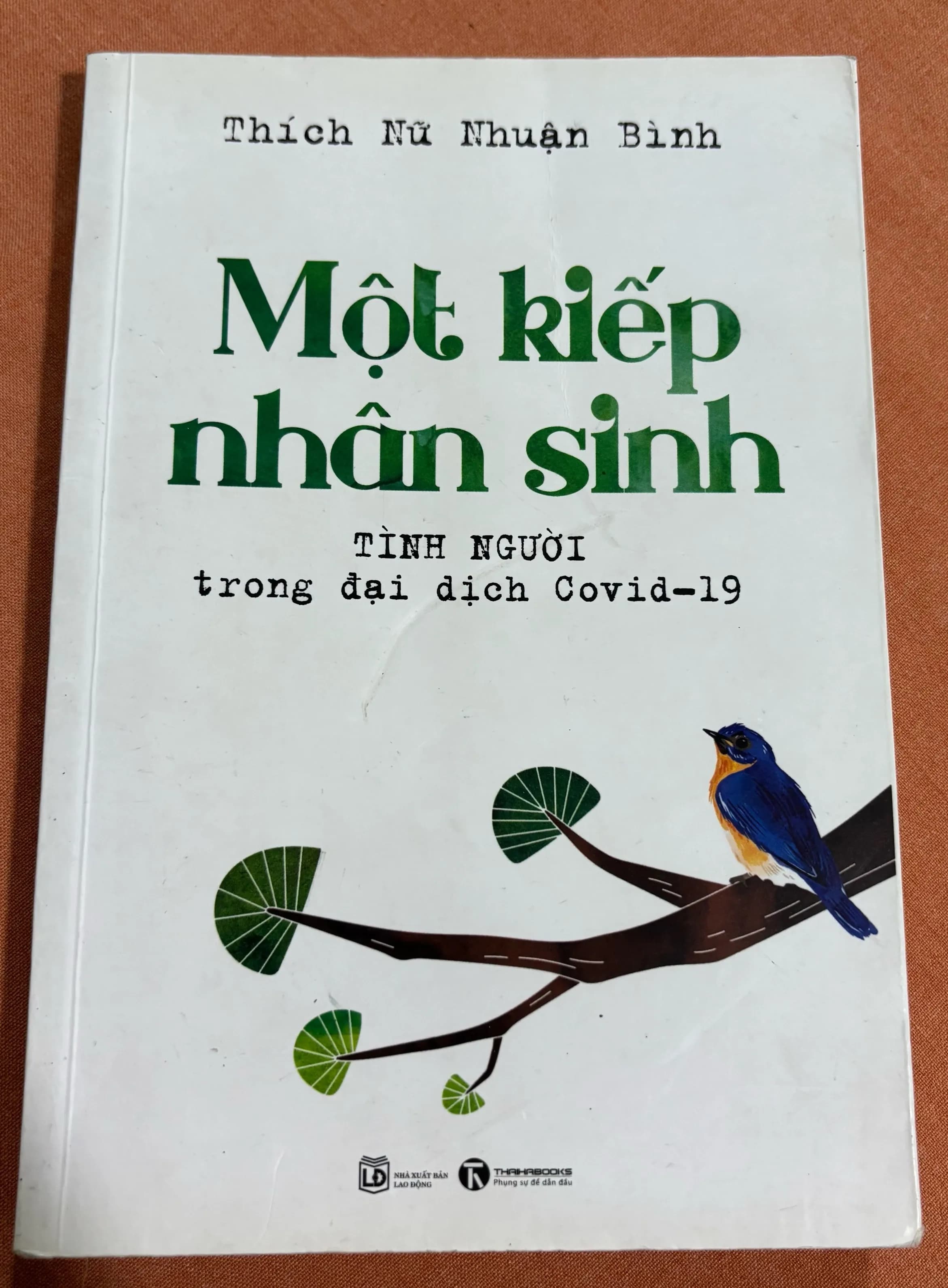 Một kiếp nhân sinh - Image 1