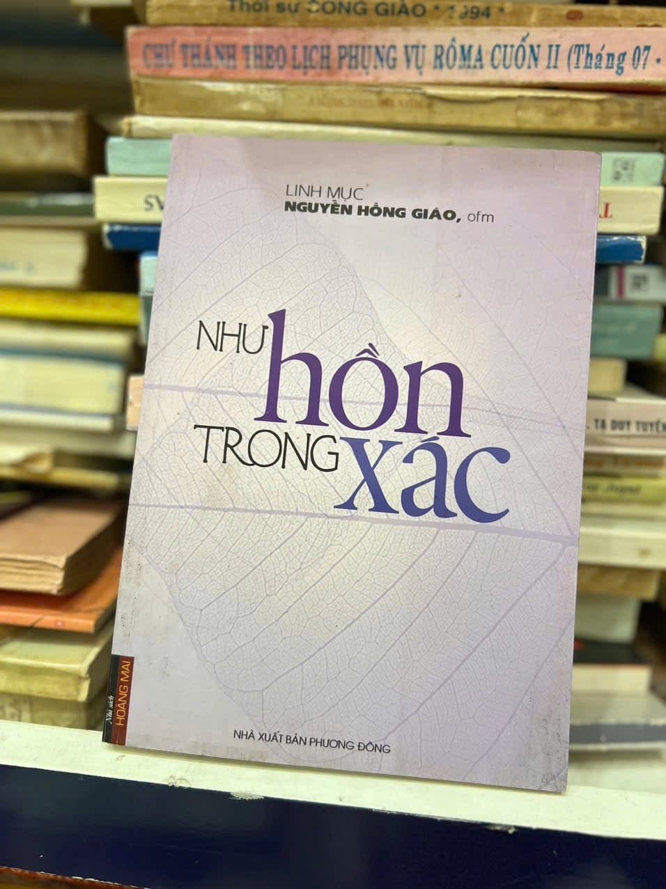 Như Hồn Trong Xác - Image 1