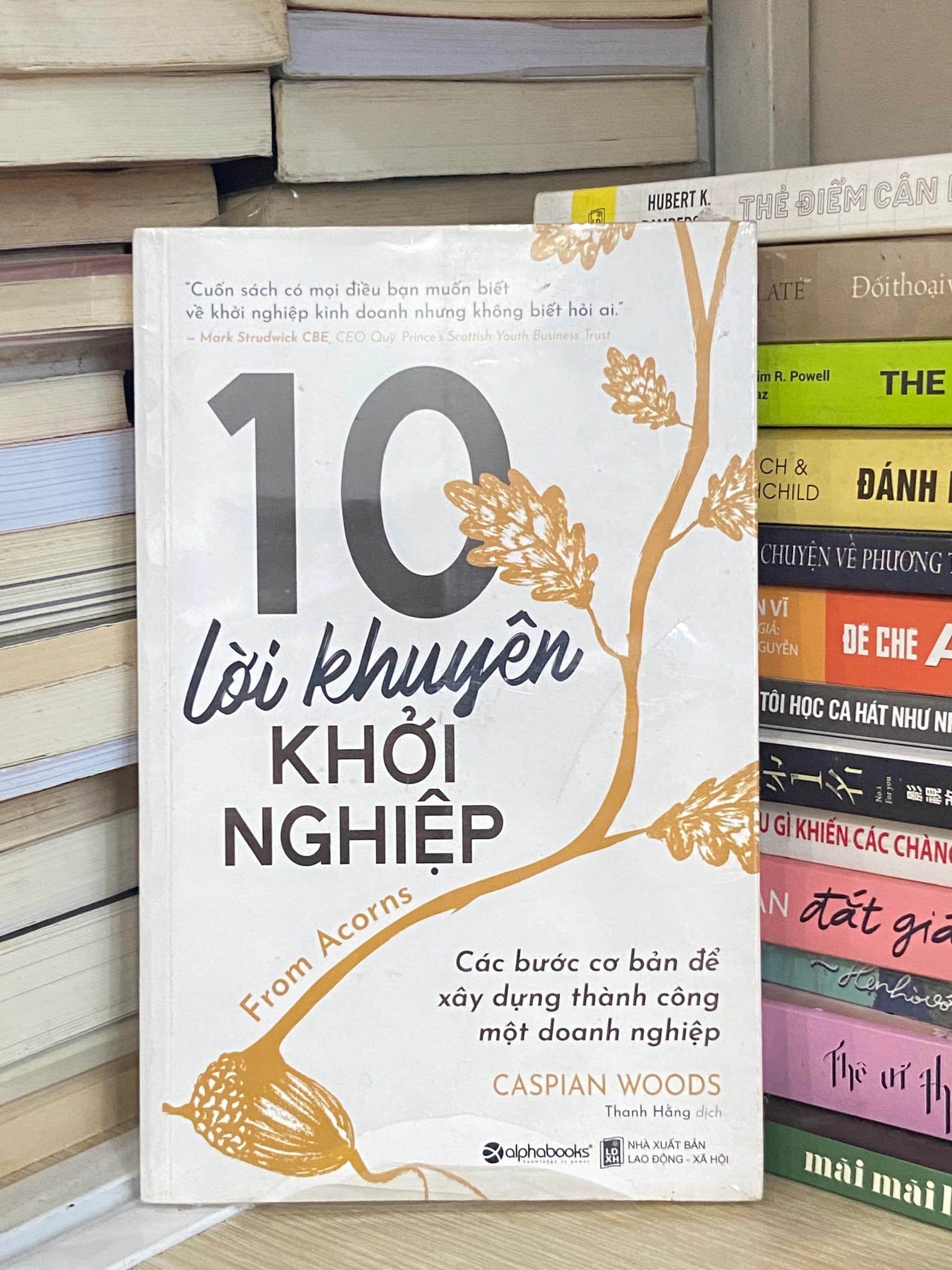 10 Lời Khuyên Khởi Nghiệp - Caspian Woods - Image 1