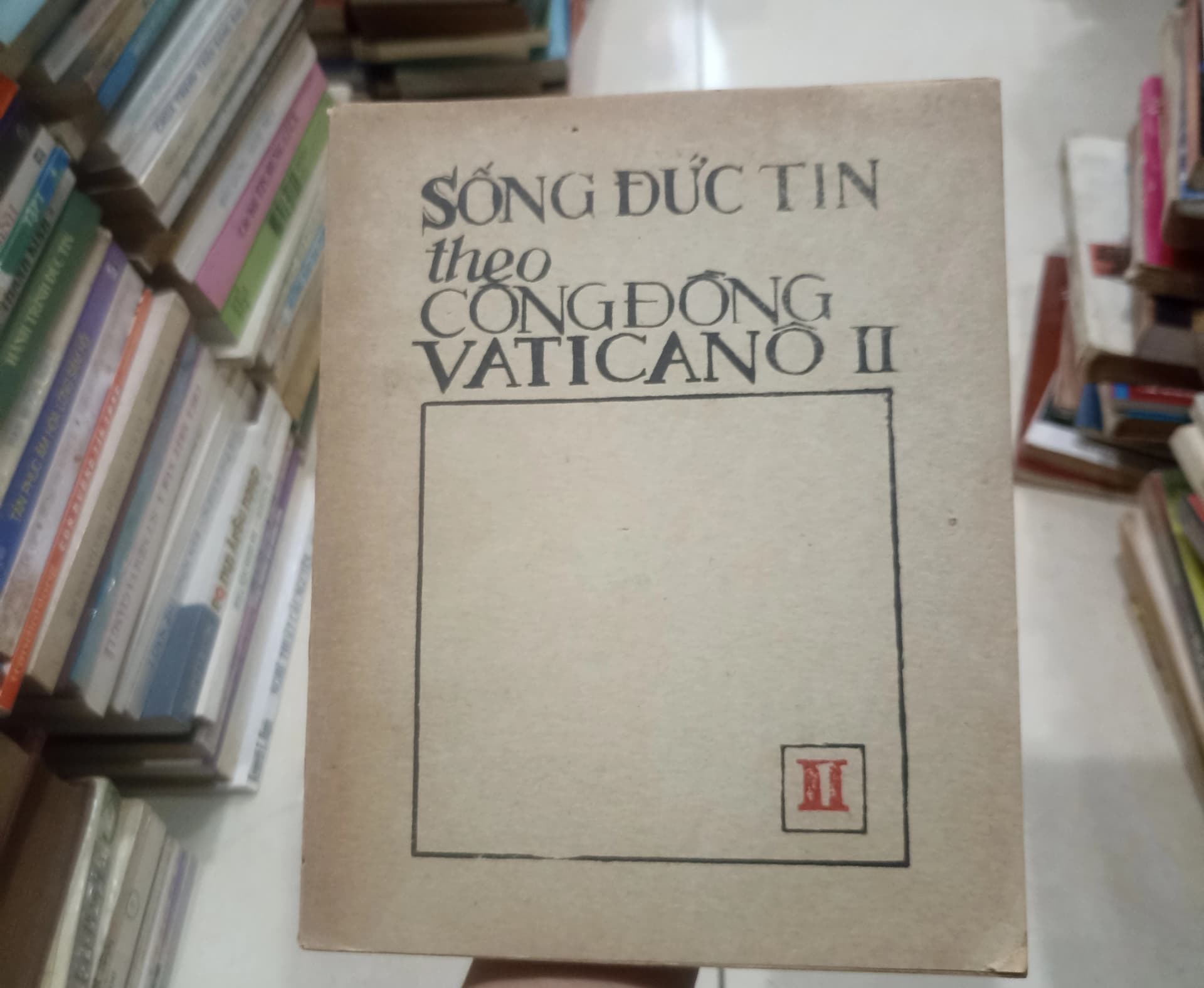 Sống đức tin theo cộng đồng Vaticanô II - Image 1