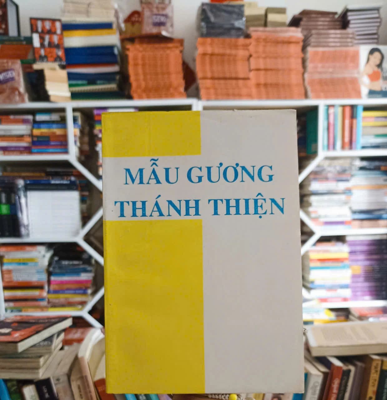 Mẫu Gương Thánh Thiện - Image 1