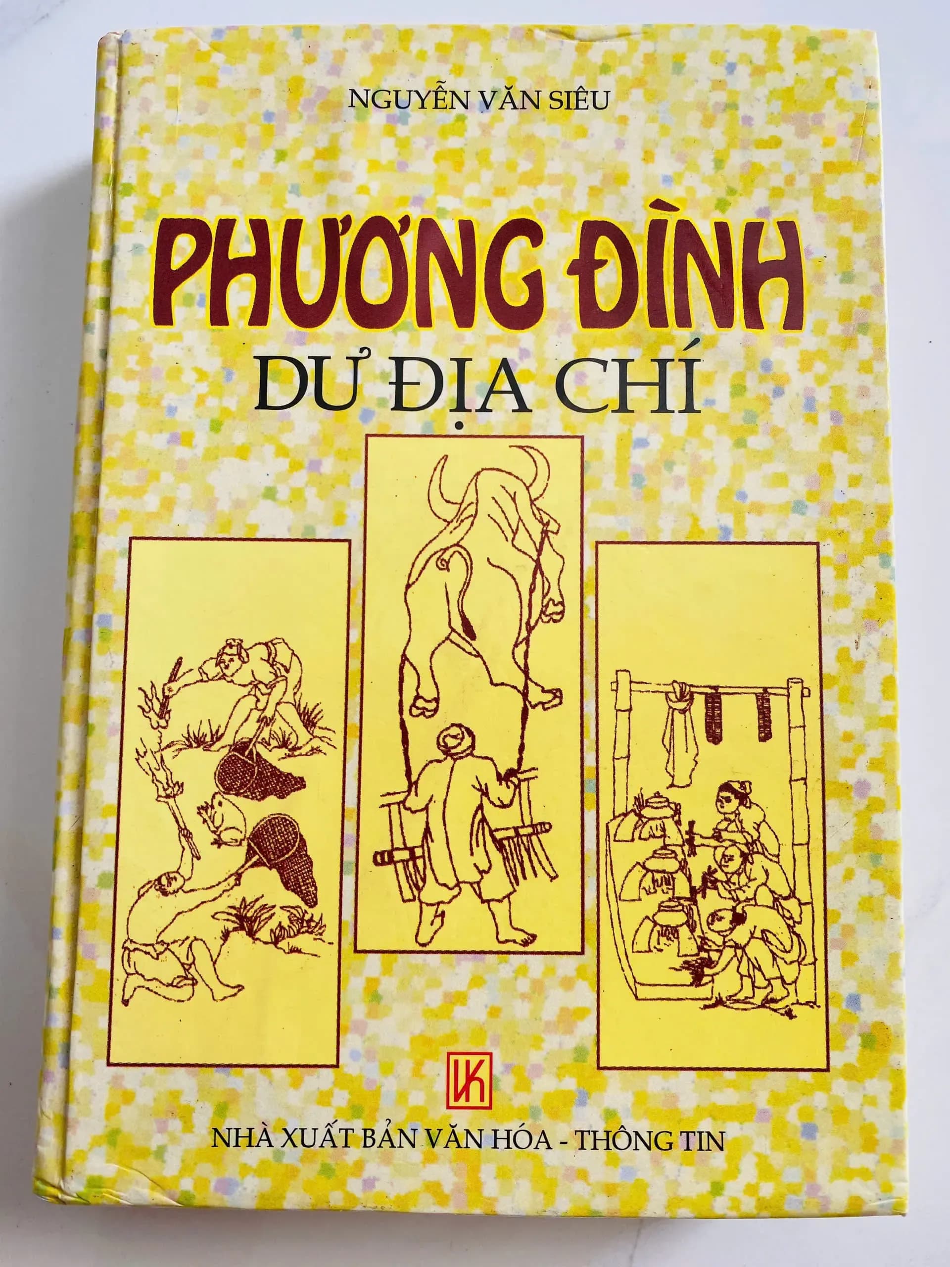 Phương Đình Dư Địa Chí - Image 1