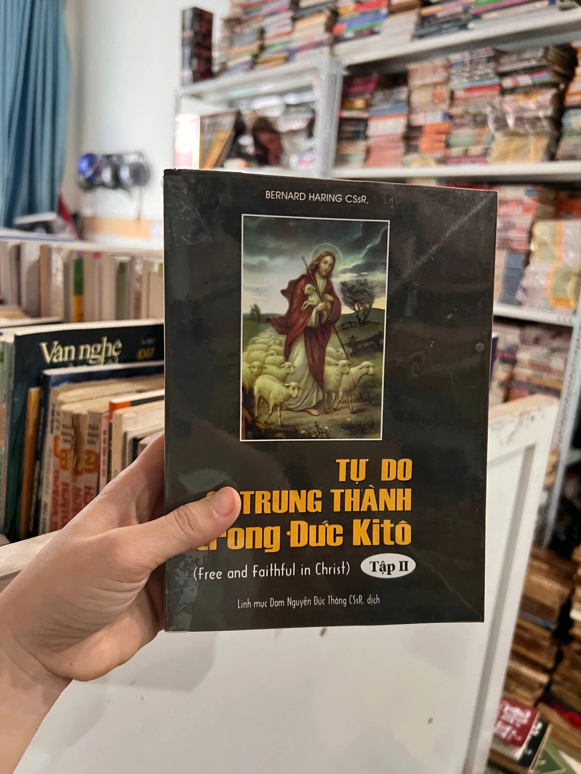 Tự do và trung thành trong Đức Kitô 2 - Image 1