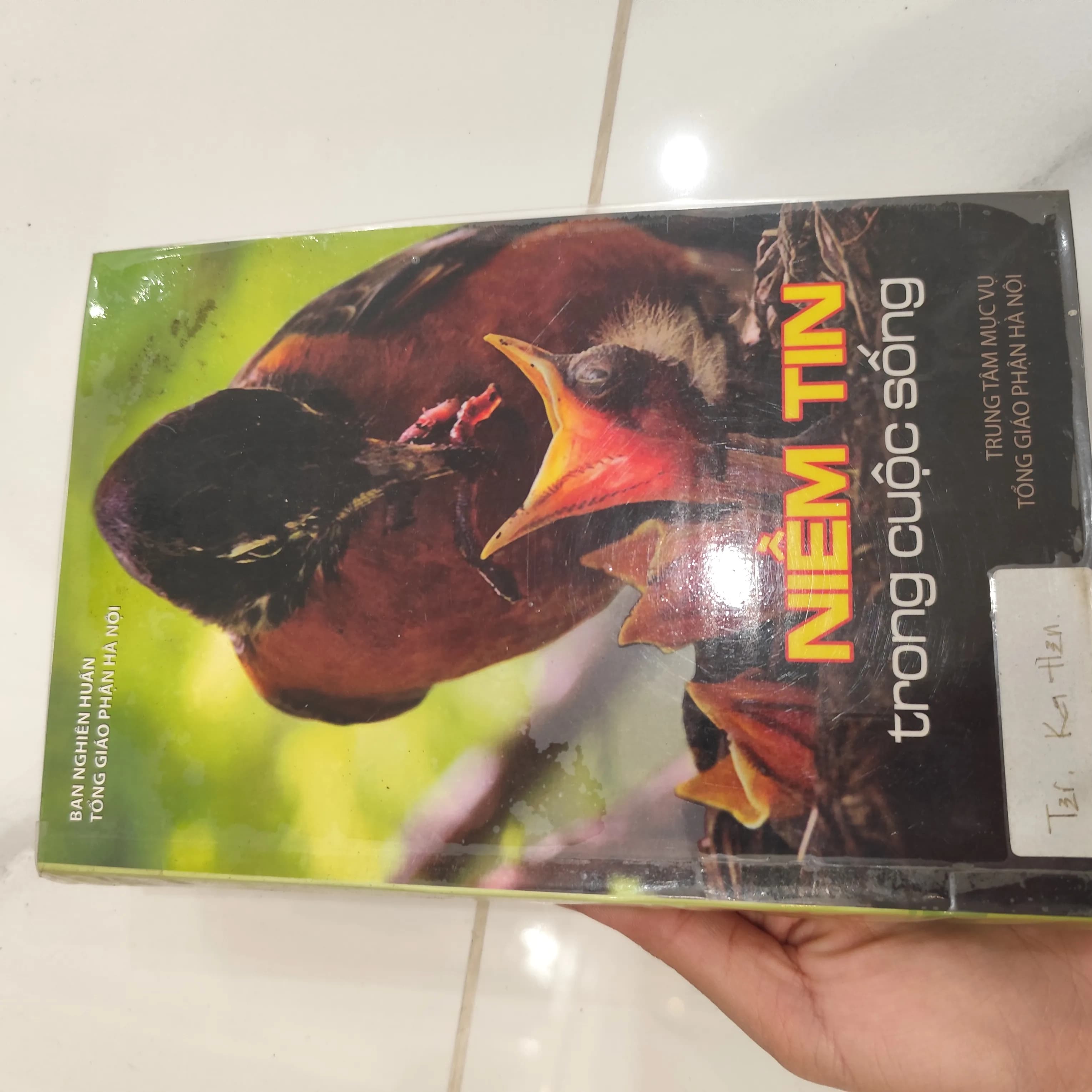 Niềm tin trong cuộc sống - Image 1